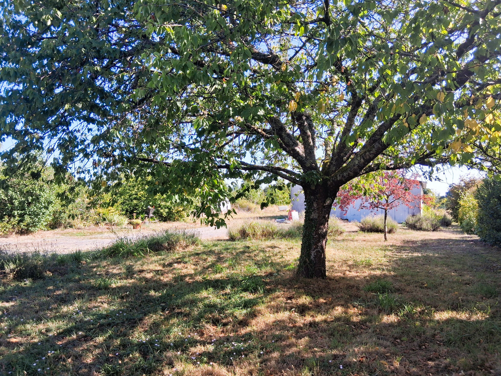 Photo 8 — ID Gien Immobilier