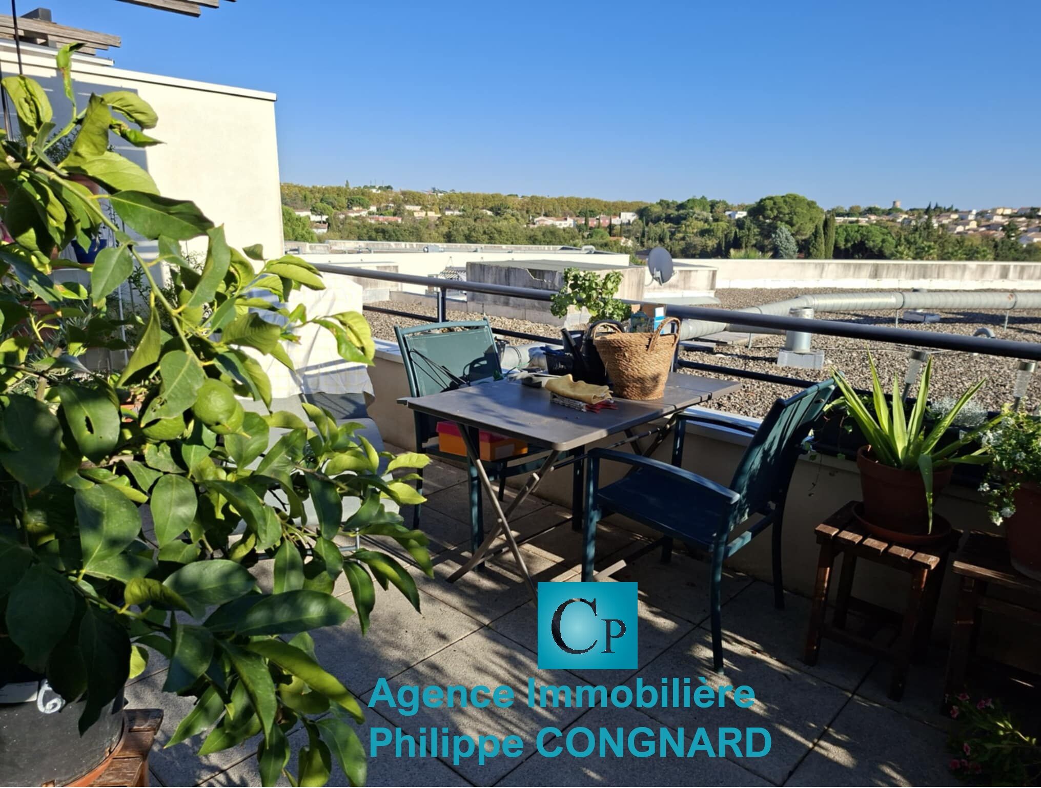 Photo 13 — AGENCE PHILPPE CONGNARD