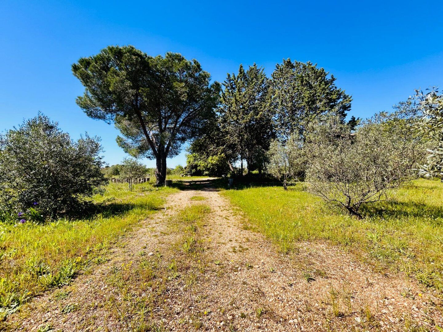 Photo 3 — Rodriguez IMMOBILIER