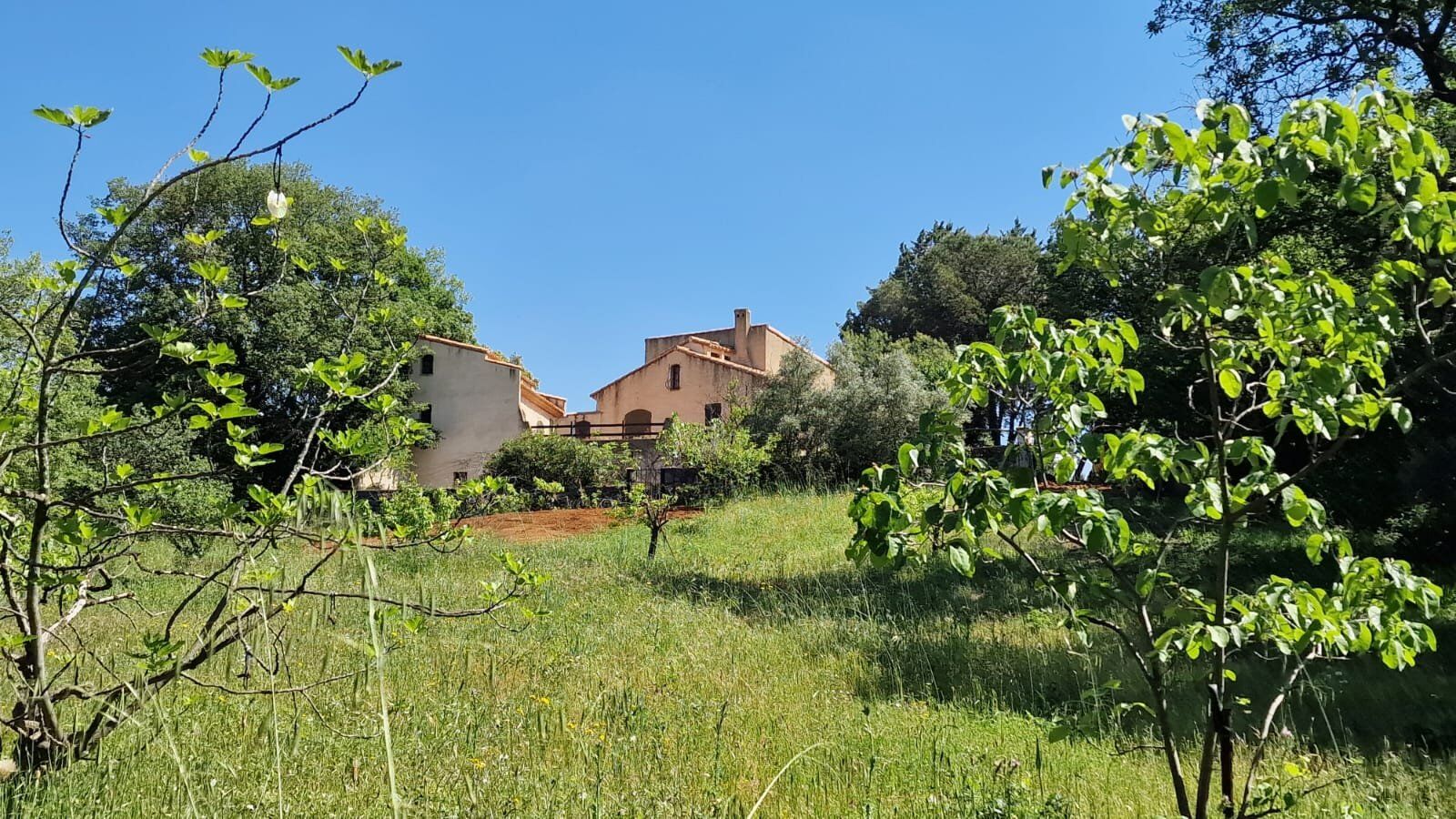 Photo 4 — Rodriguez IMMOBILIER