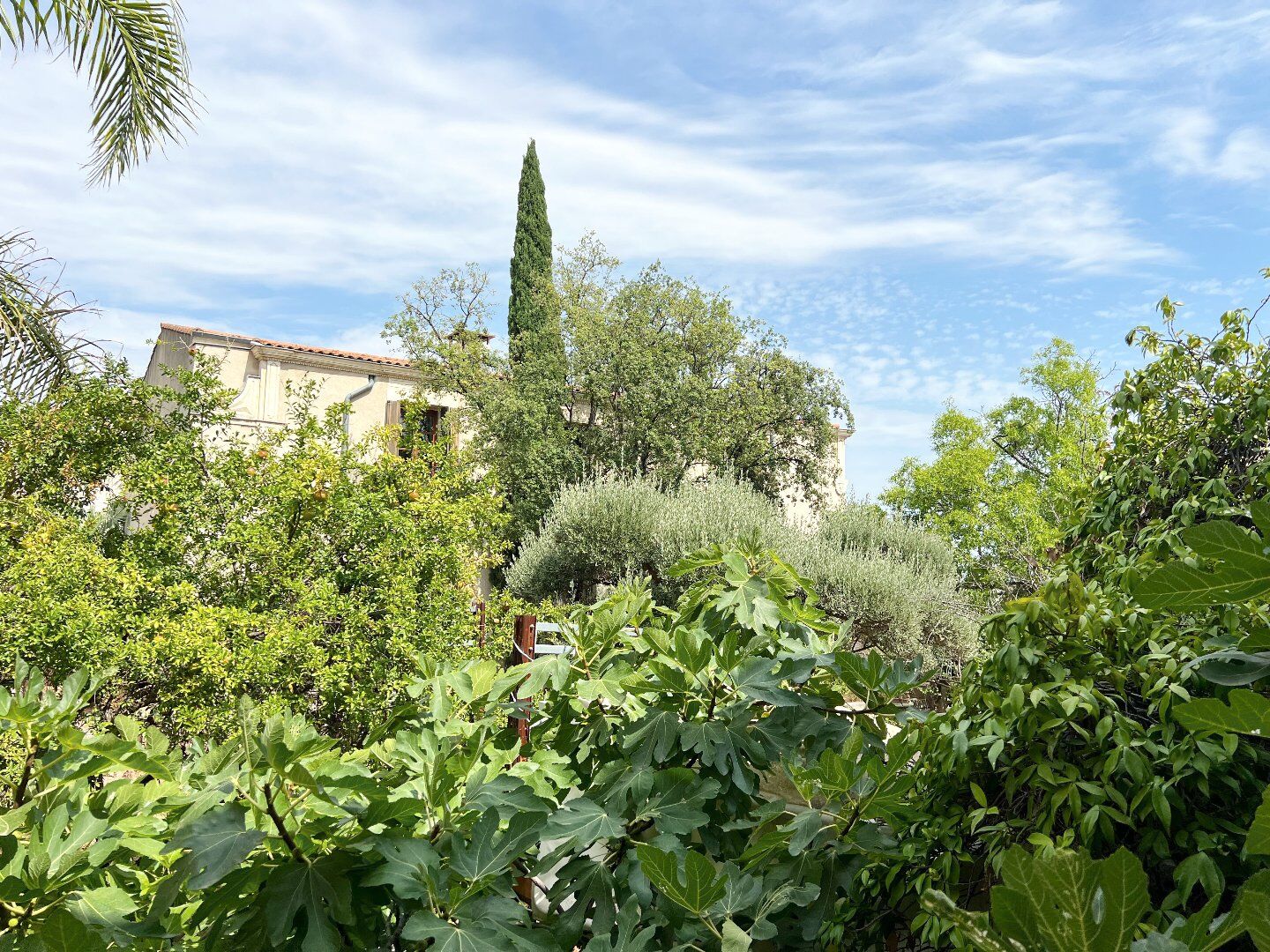 Photo 7 — Rodriguez IMMOBILIER