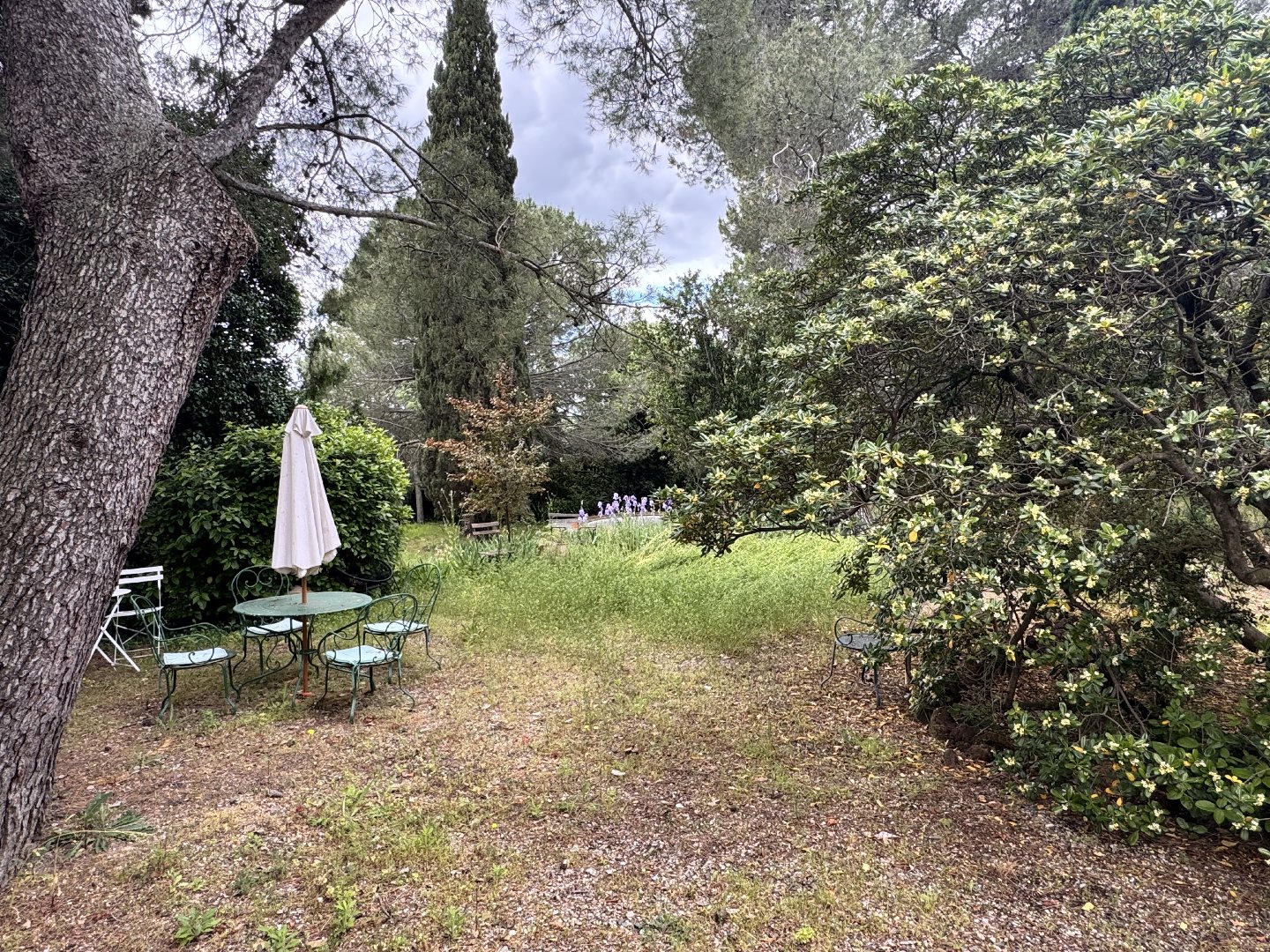 Photo 8 — Rodriguez IMMOBILIER