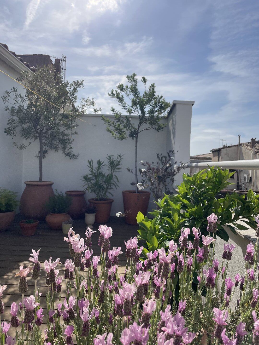 Photo 11 — Rodriguez IMMOBILIER