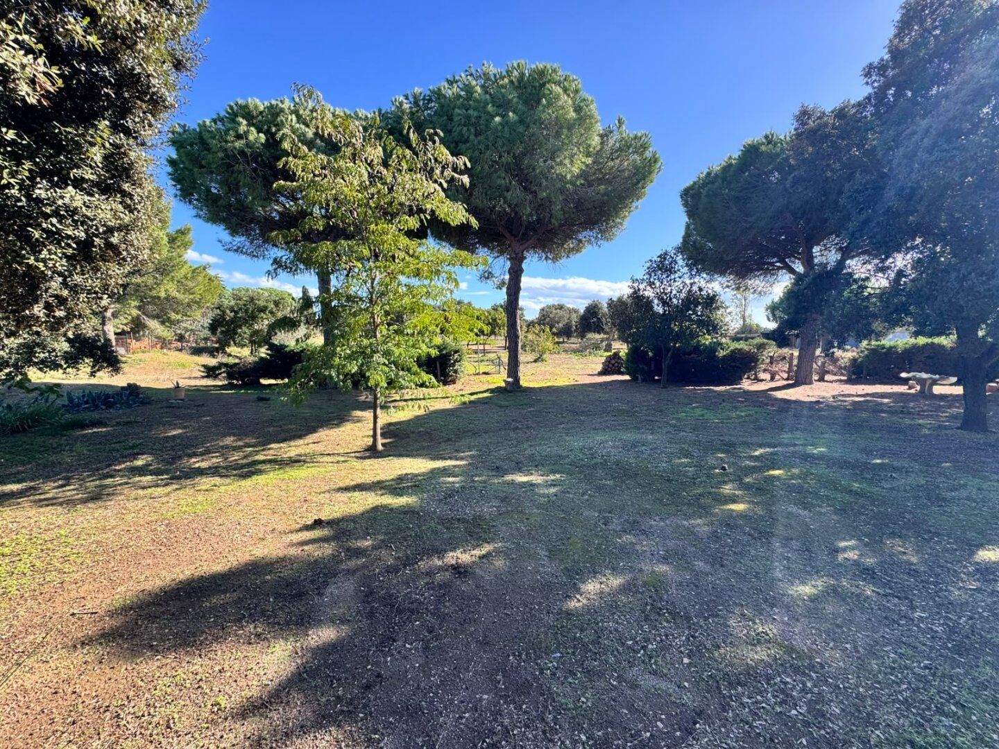 Photo 3 — Rodriguez IMMOBILIER
