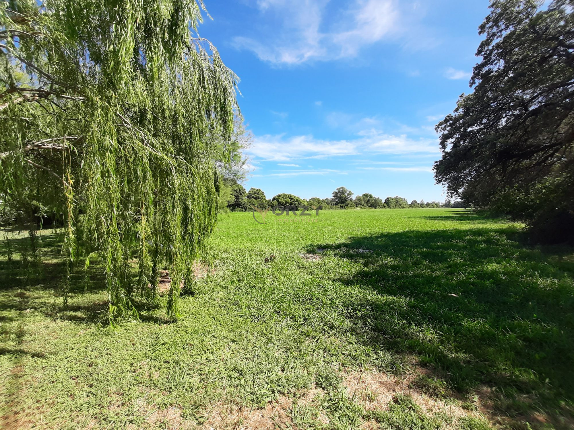 Photo 6 — Orzy Immobiliers