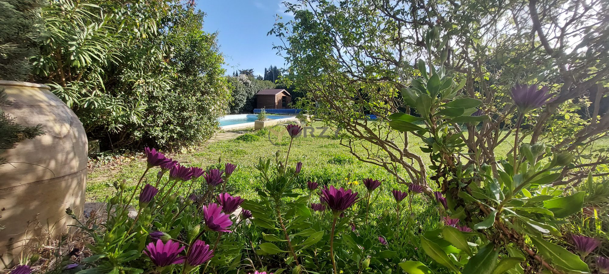 Photo 4 — Orzy Immobiliers
