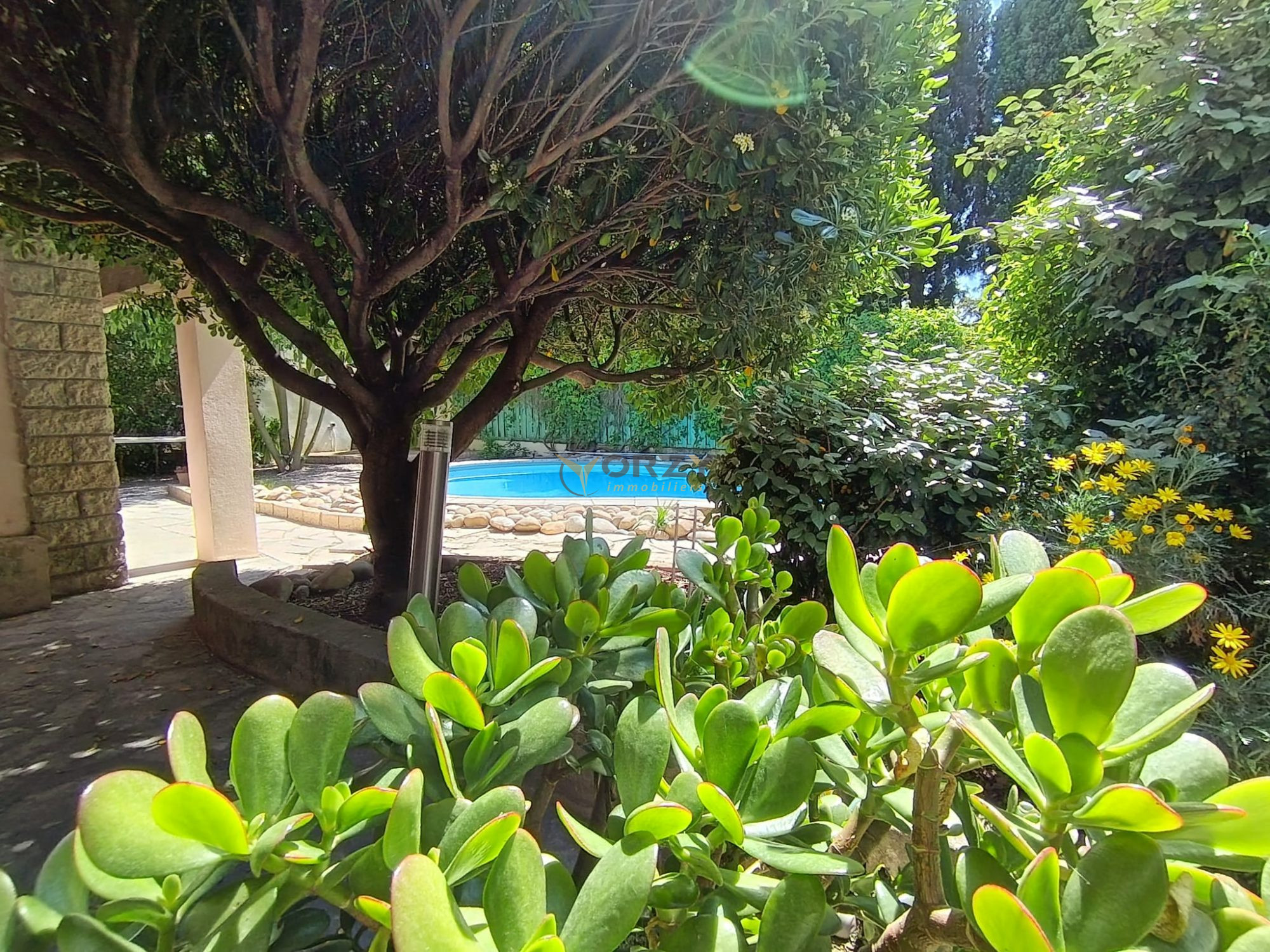 Photo 2 — Orzy Immobiliers