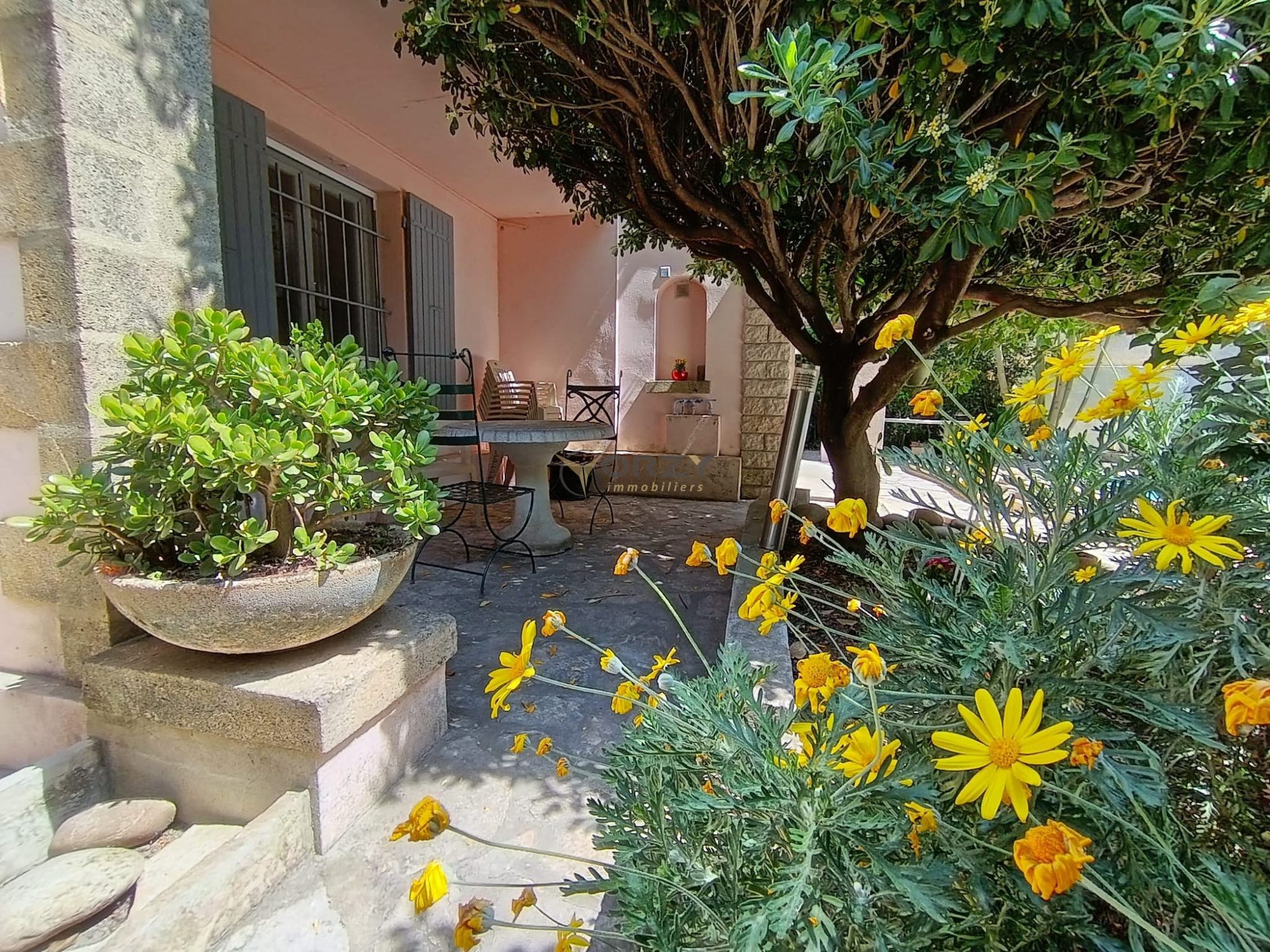 Photo 3 — Orzy Immobiliers