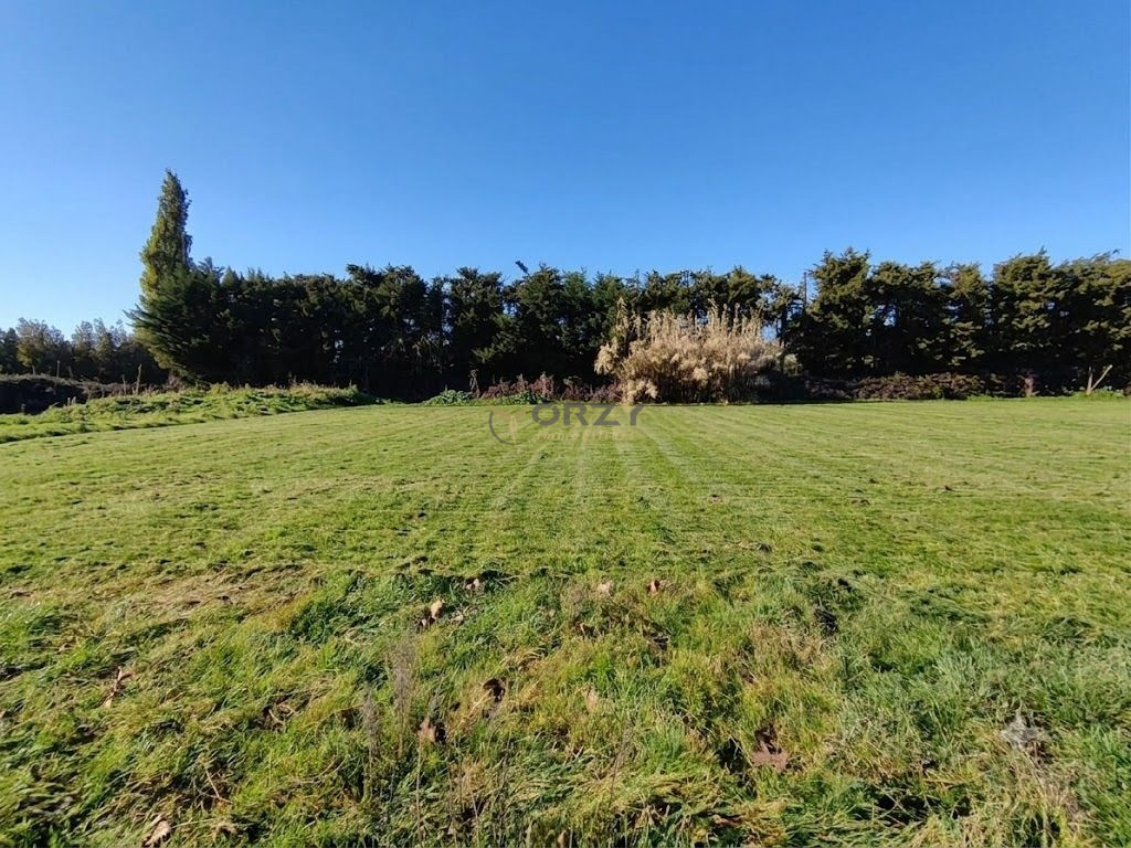 Photo 3 — Orzy Immobiliers