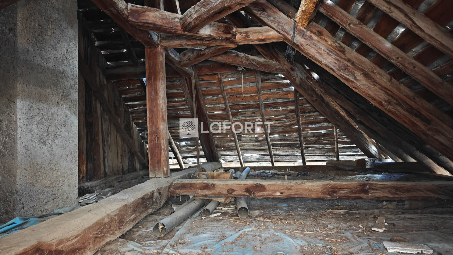 Photo 5 — LAFORET EMBRUN