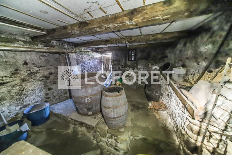 Photo 4 — LAFORET EMBRUN
