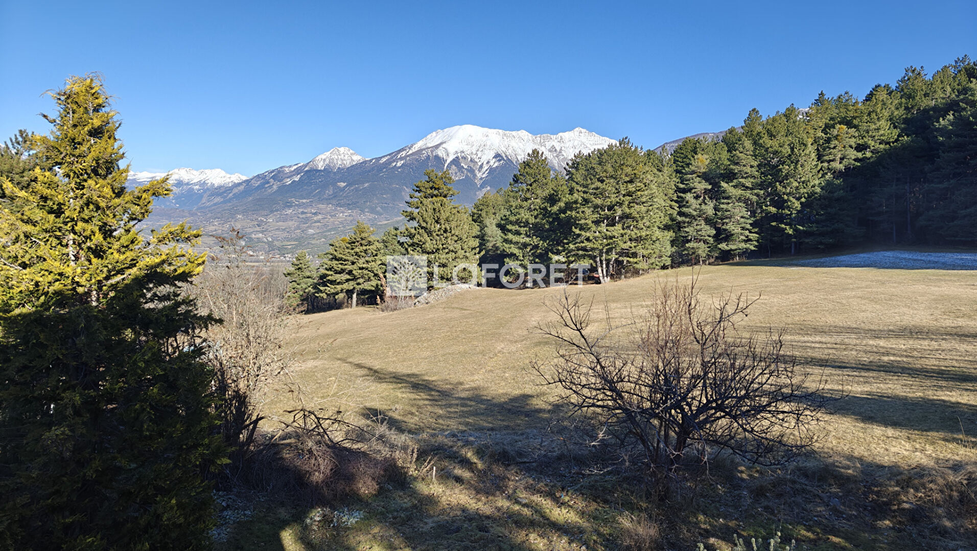 Photo 4 — LAFORET EMBRUN