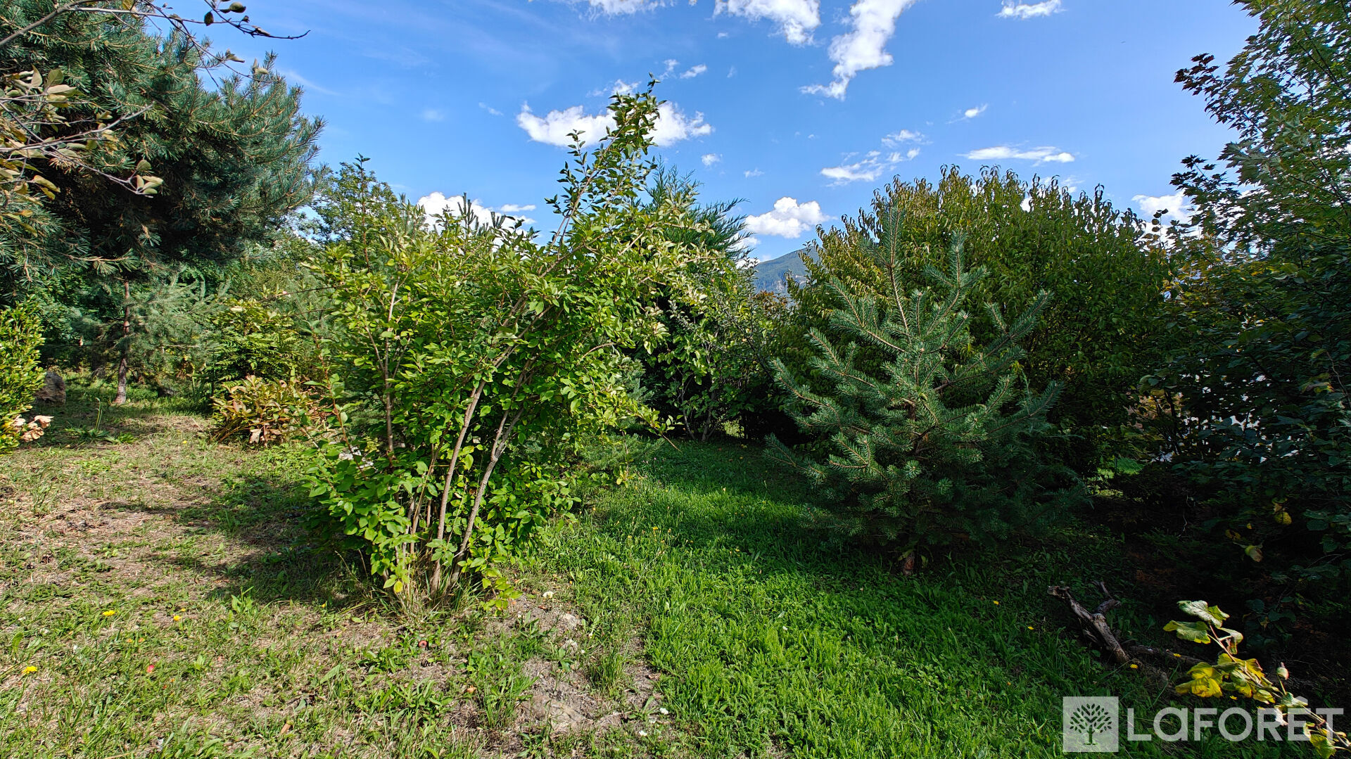 Photo 2 — LAFORET EMBRUN