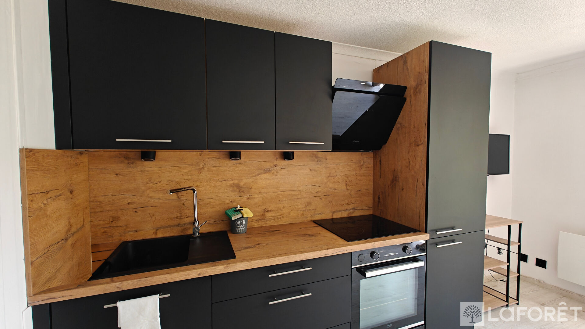 Photo 3 — LAFORET EMBRUN
