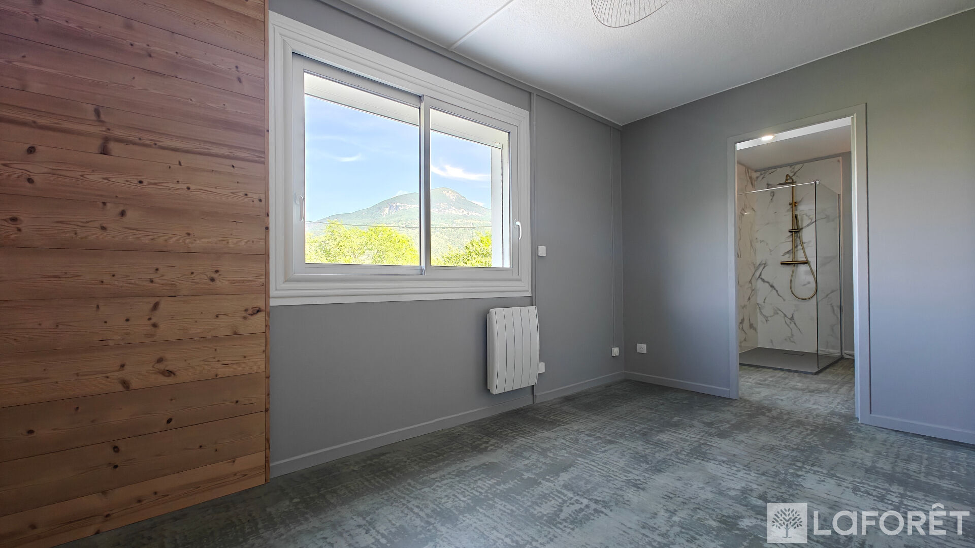 Photo 9 — LAFORET EMBRUN