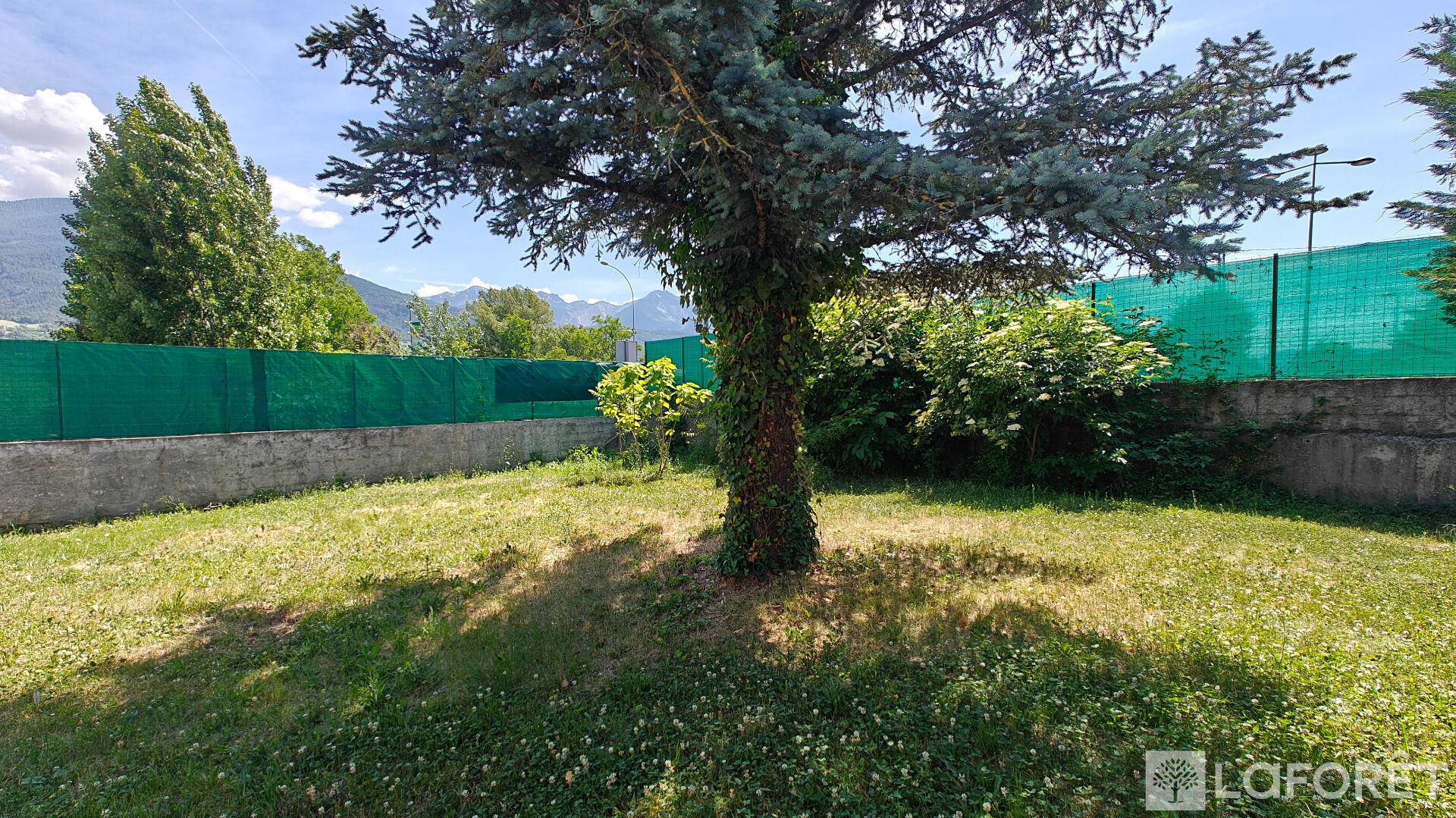 Photo 8 — LAFORET EMBRUN