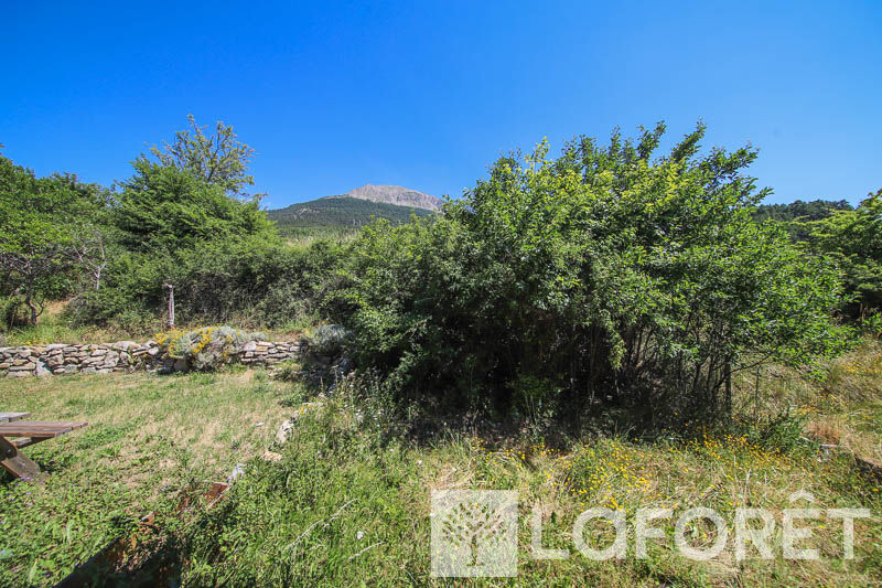 Photo 11 — LAFORET EMBRUN