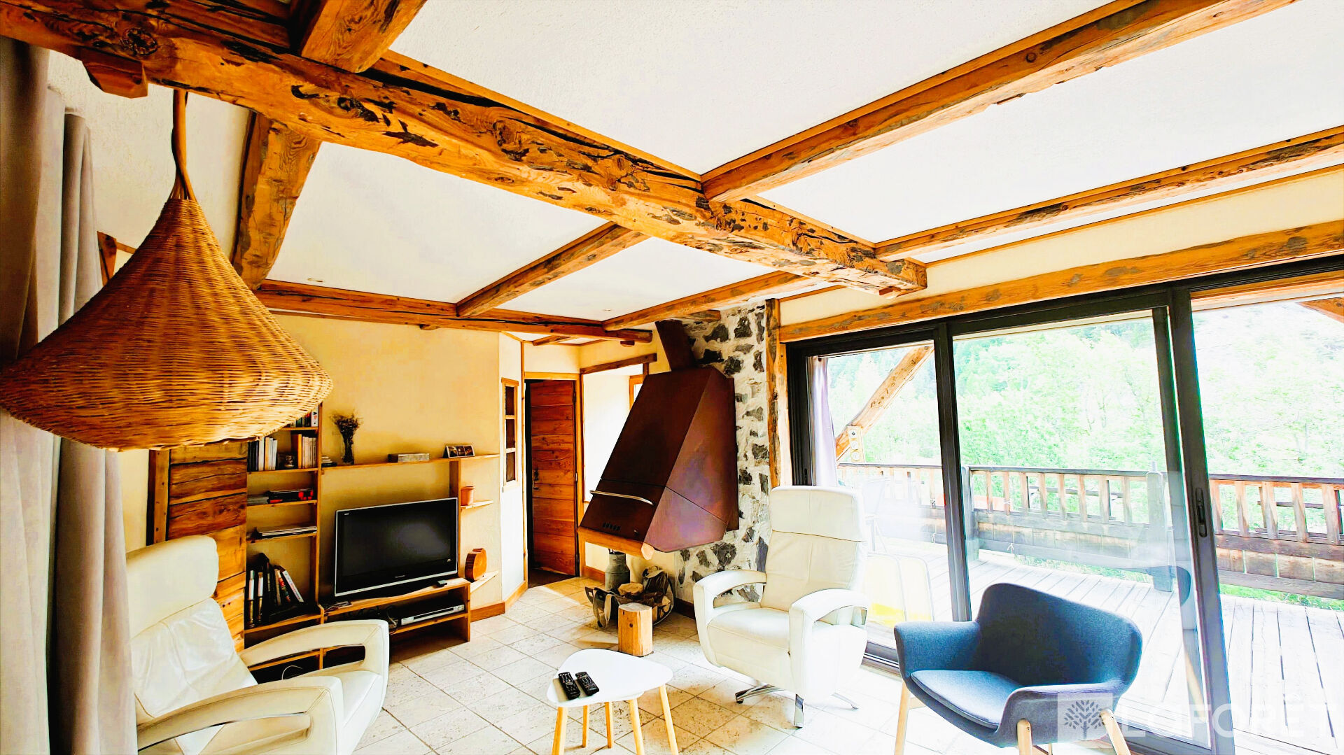 Photo 4 — LAFORET EMBRUN