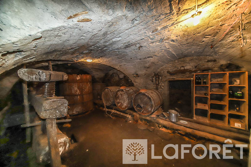 Photo 12 — LAFORET EMBRUN