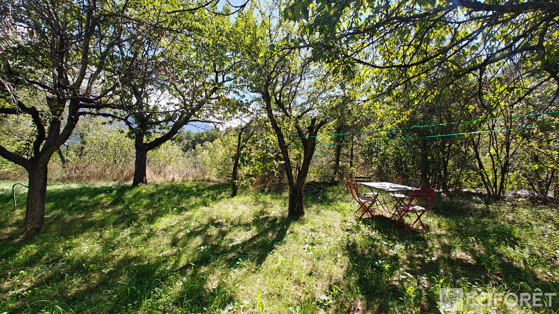 Photo 3 — LAFORET EMBRUN