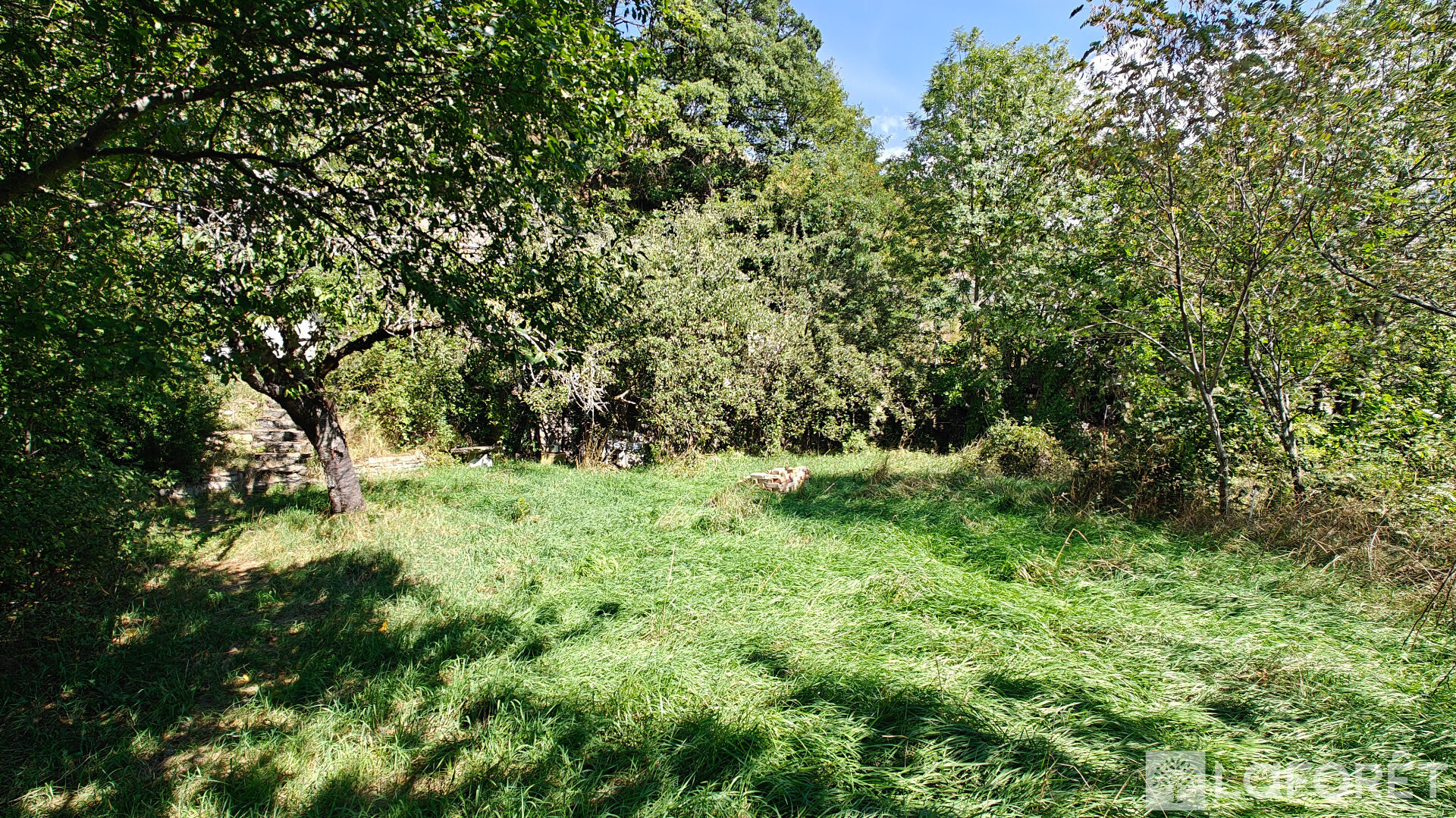 Photo 2 — LAFORET EMBRUN