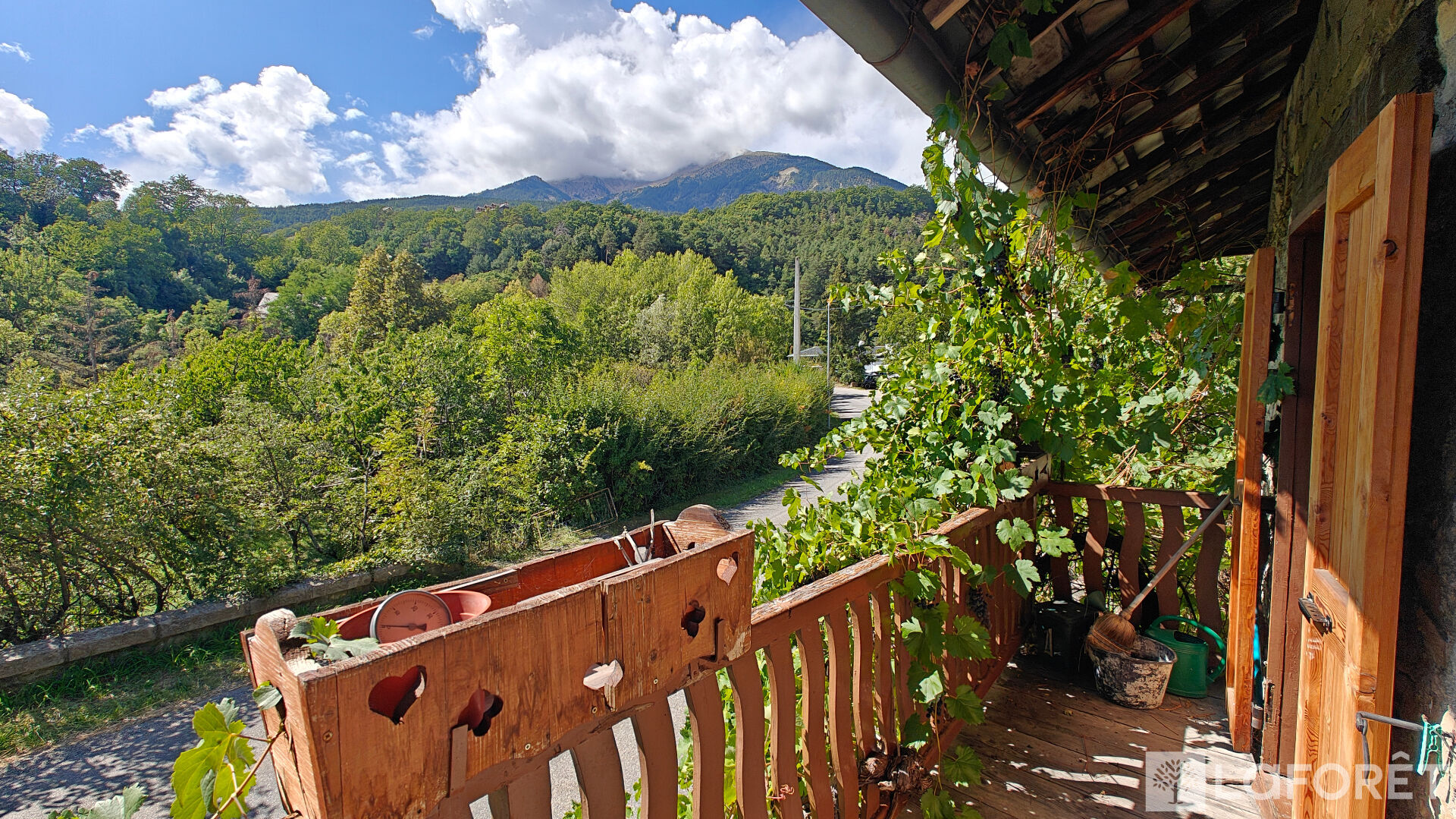 Photo 8 — LAFORET EMBRUN