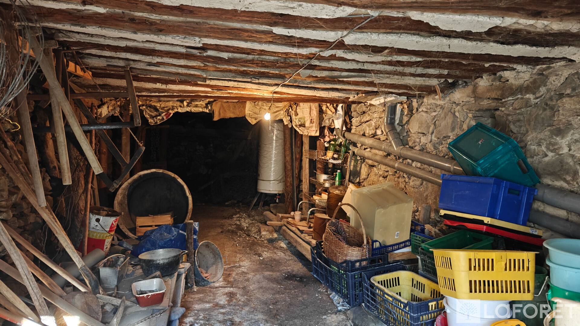 Photo 12 — LAFORET EMBRUN