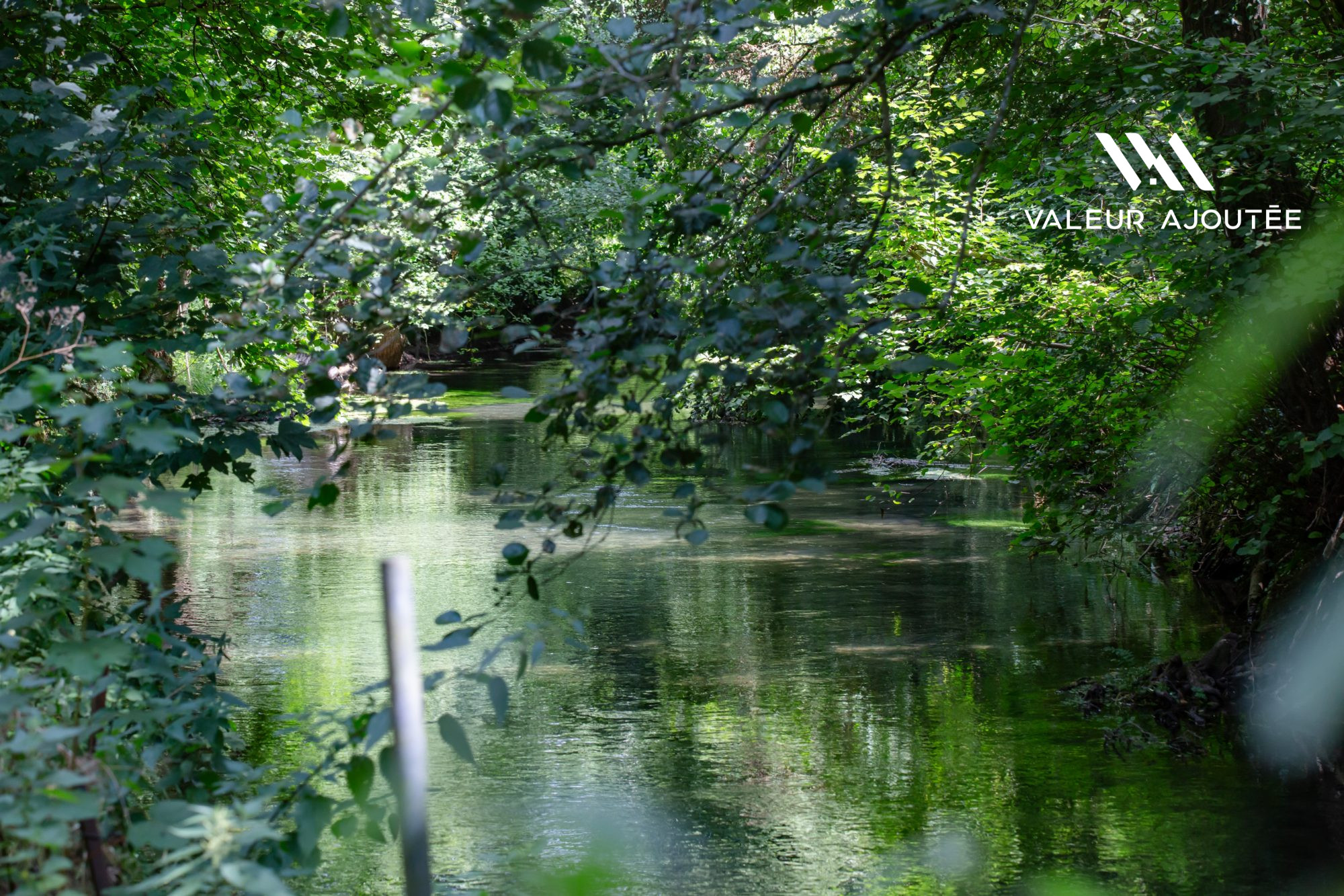 Photo 18 — Valeur Ajoutée