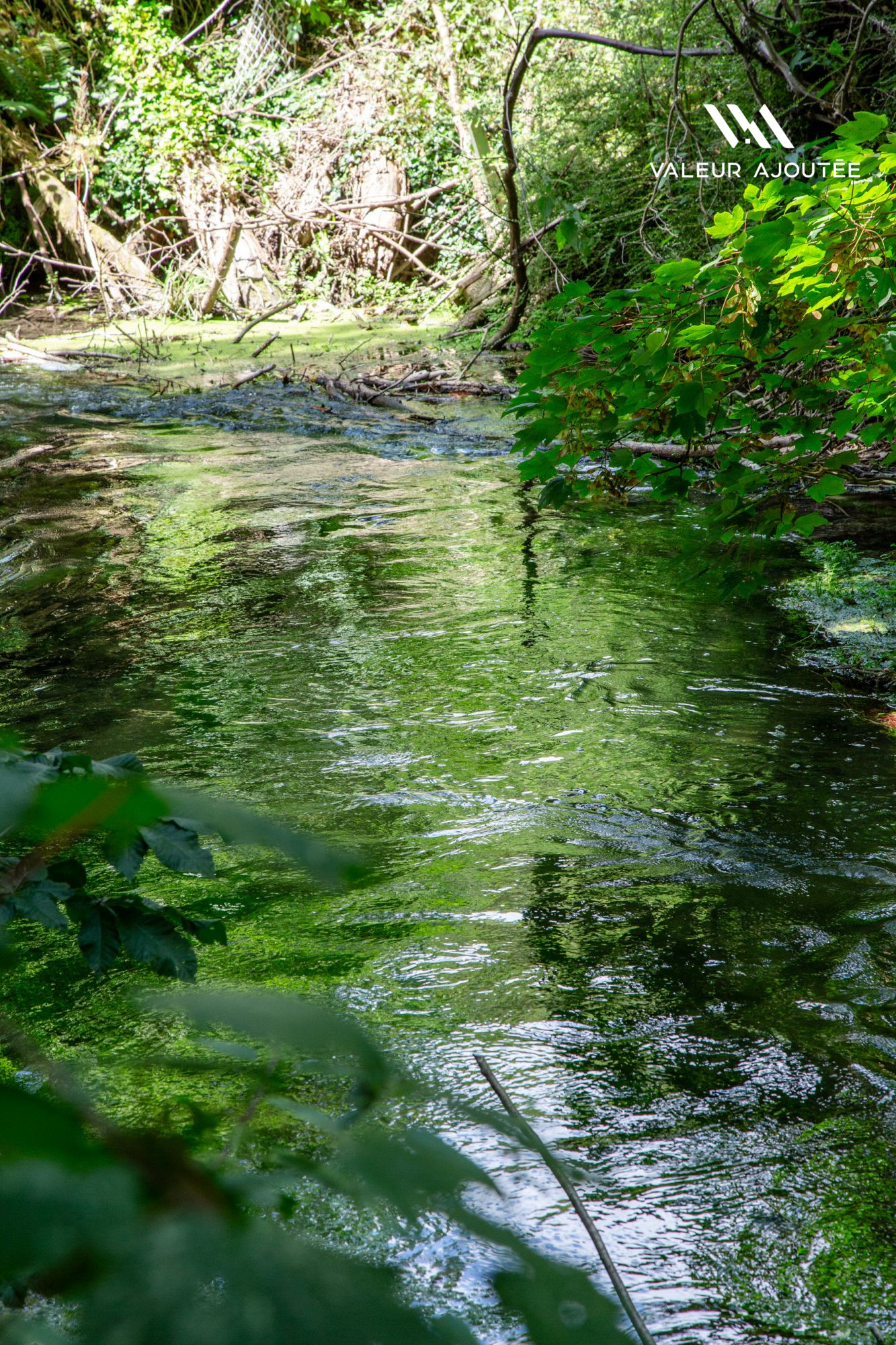 Photo 20 — Valeur Ajoutée