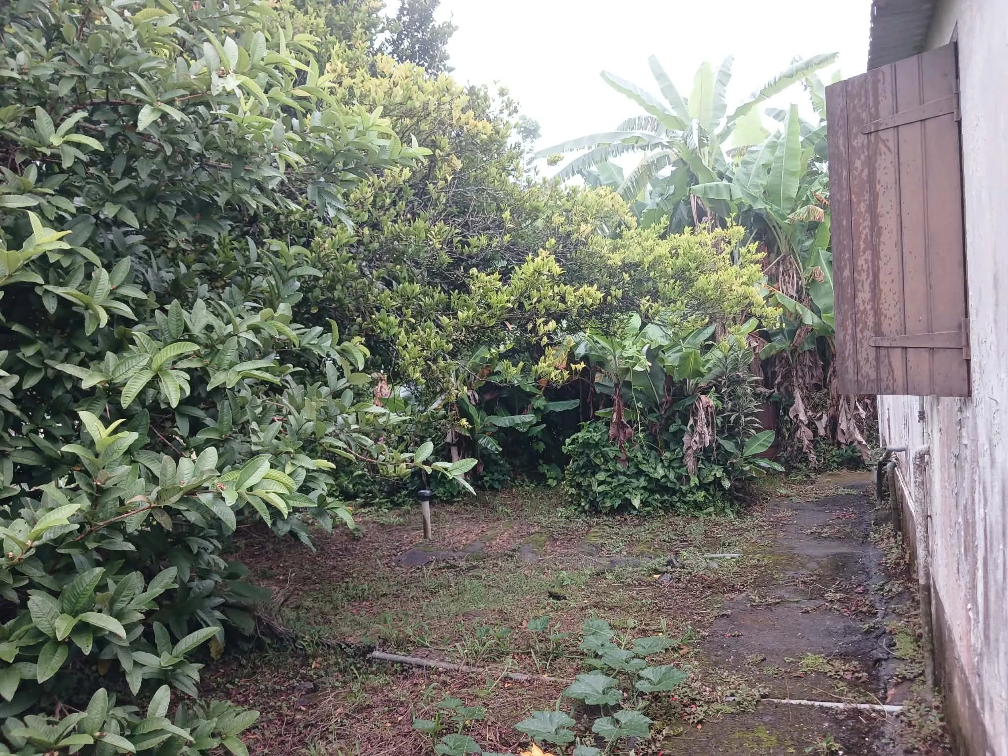 Photo 6 — NAT'IMMOBILIER