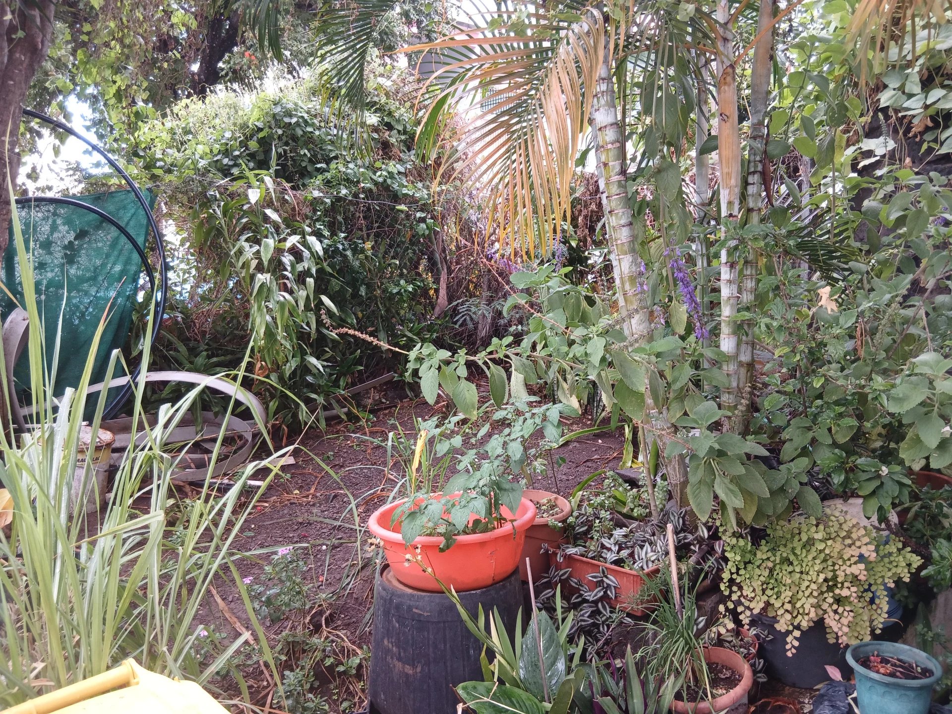 Photo 6 — NAT'IMMOBILIER