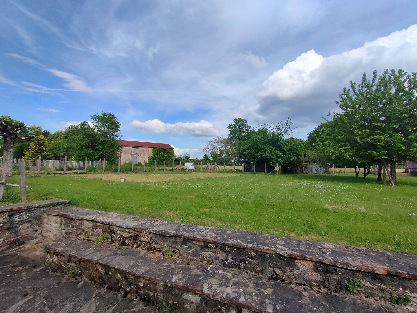 Photo 3 — Neximmo