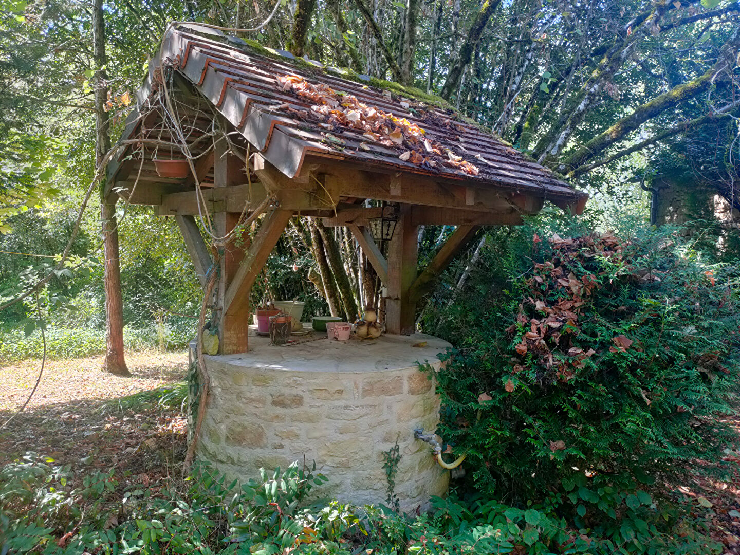 Photo 13 — Neximmo