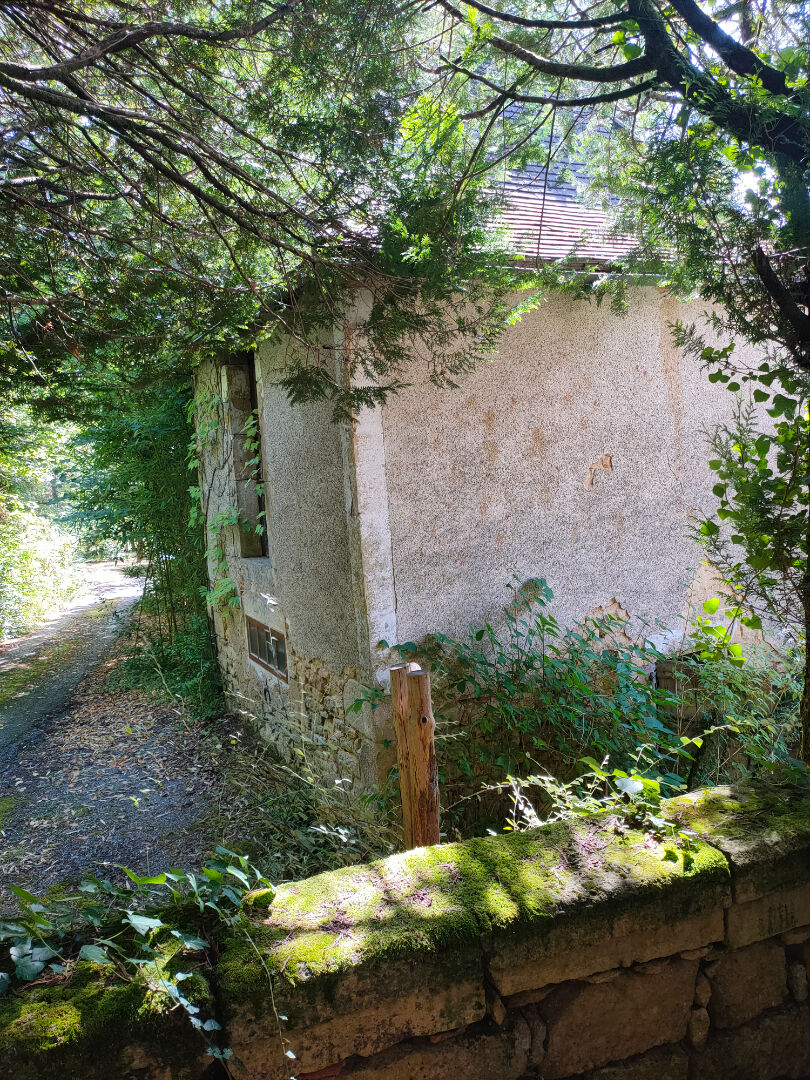 Photo 14 — Neximmo