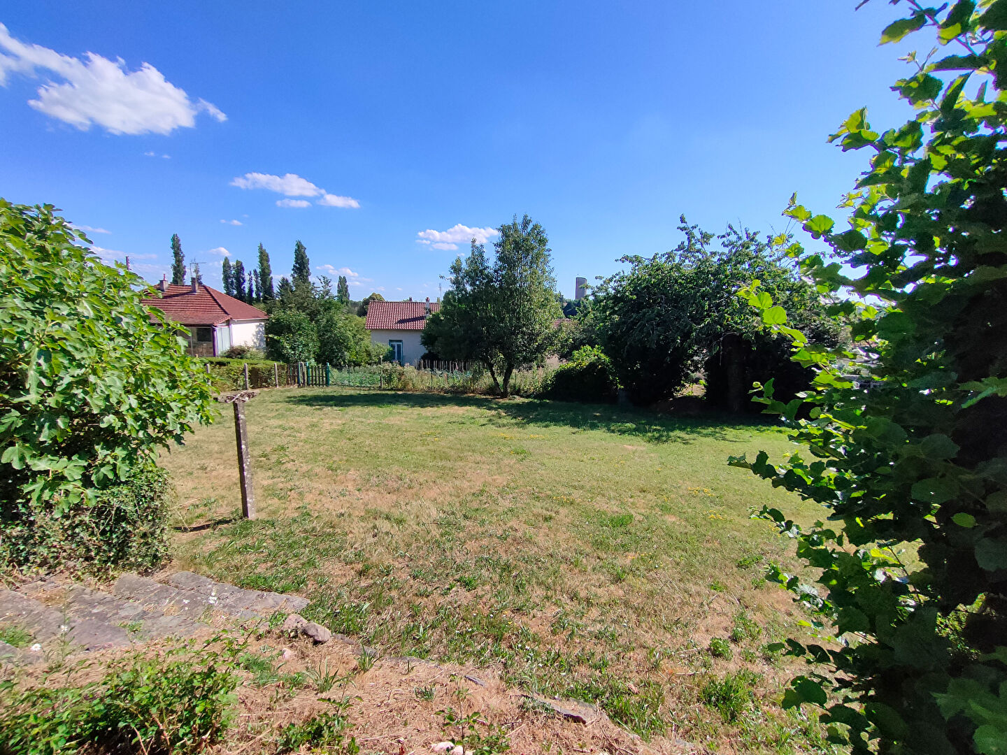 Photo 6 — Neximmo