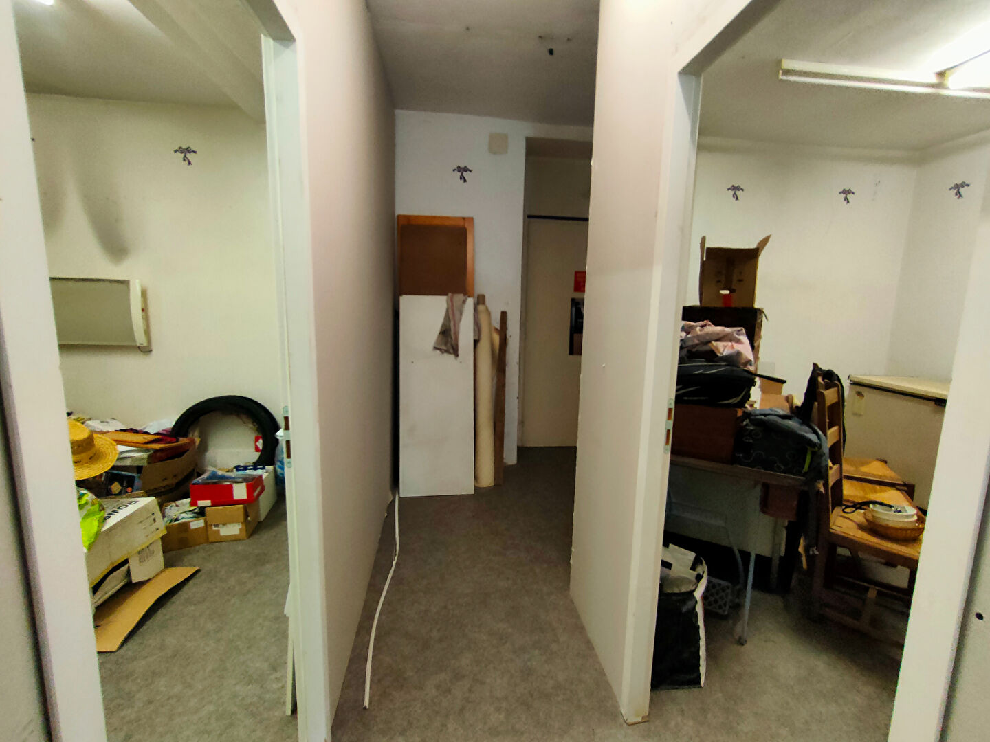 Photo 11 — Neximmo