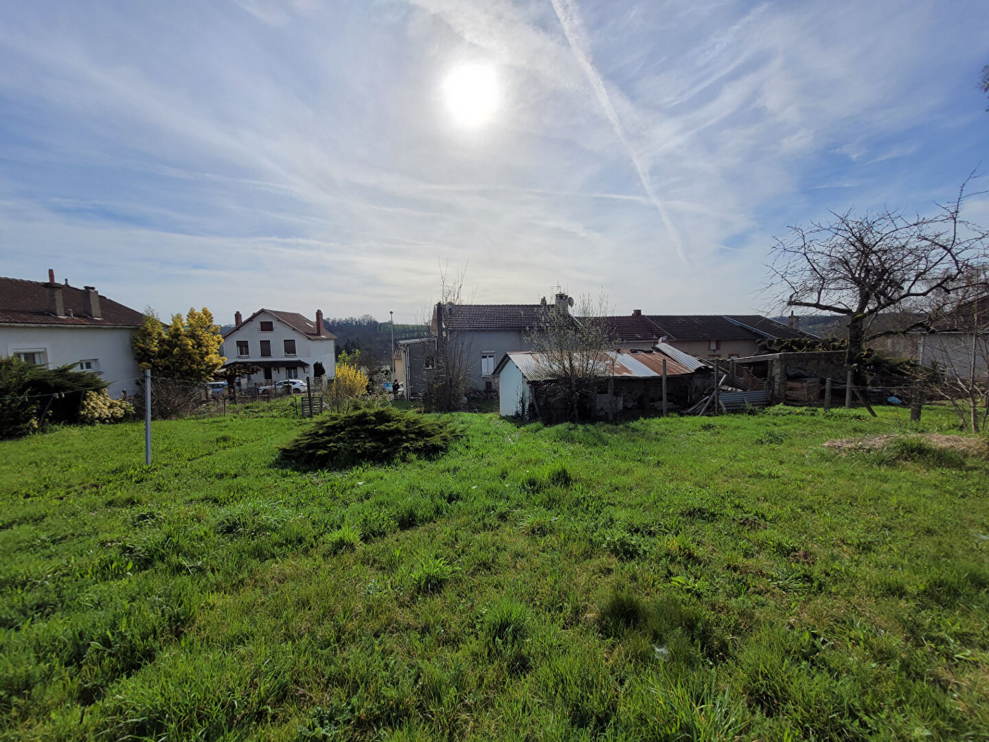Photo 8 — Neximmo