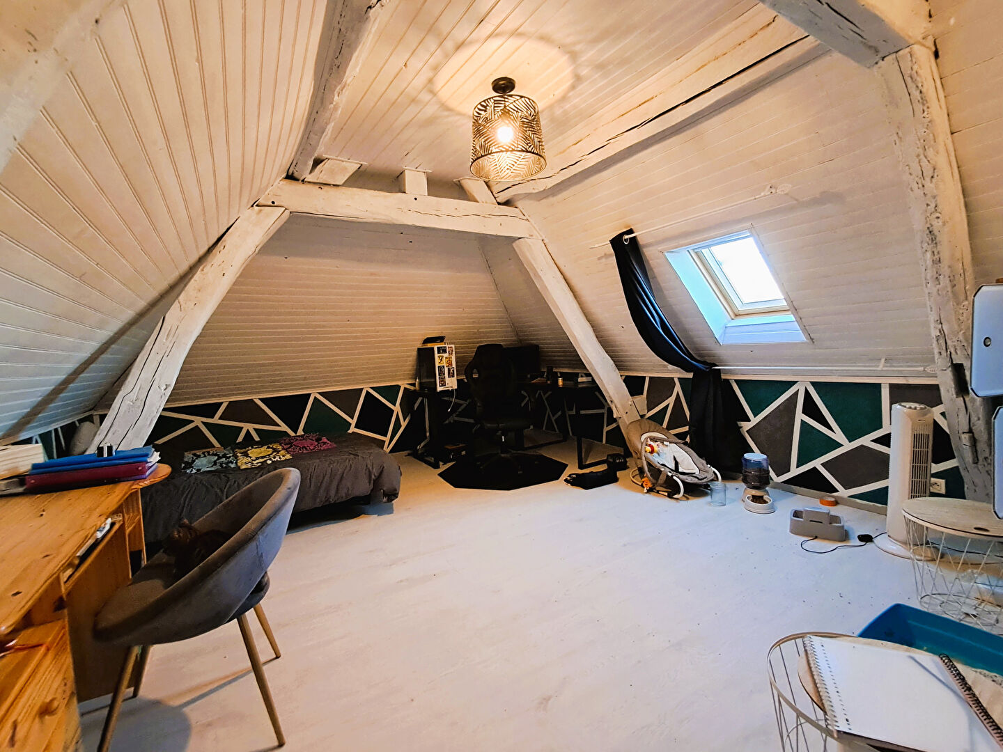 Photo 11 — Neximmo