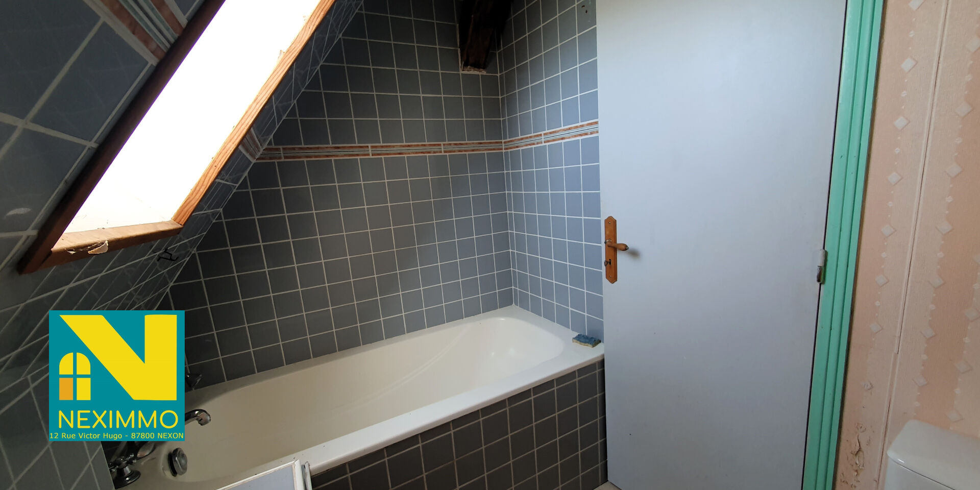 Photo 12 — Neximmo
