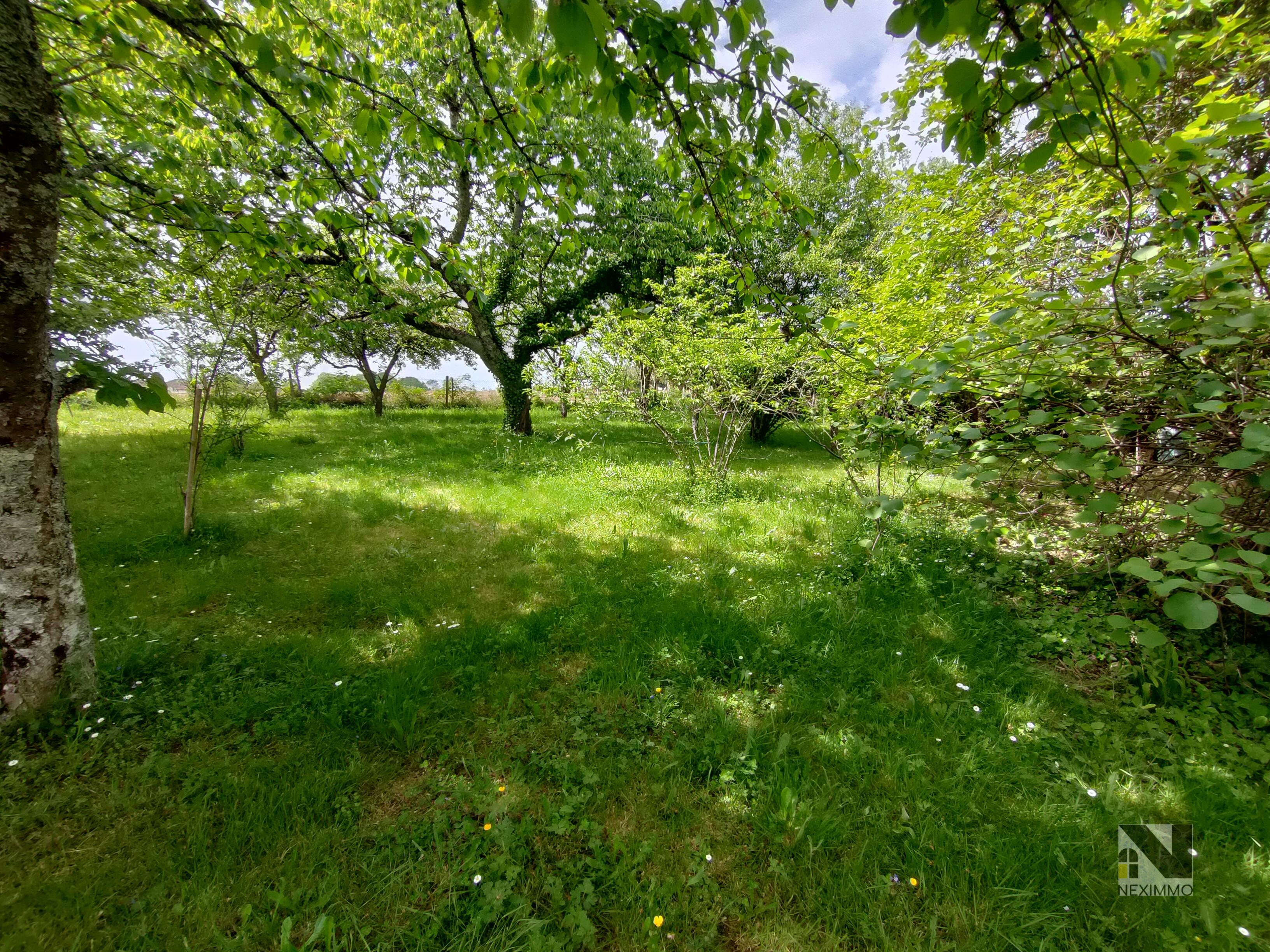 Photo 19 — Neximmo
