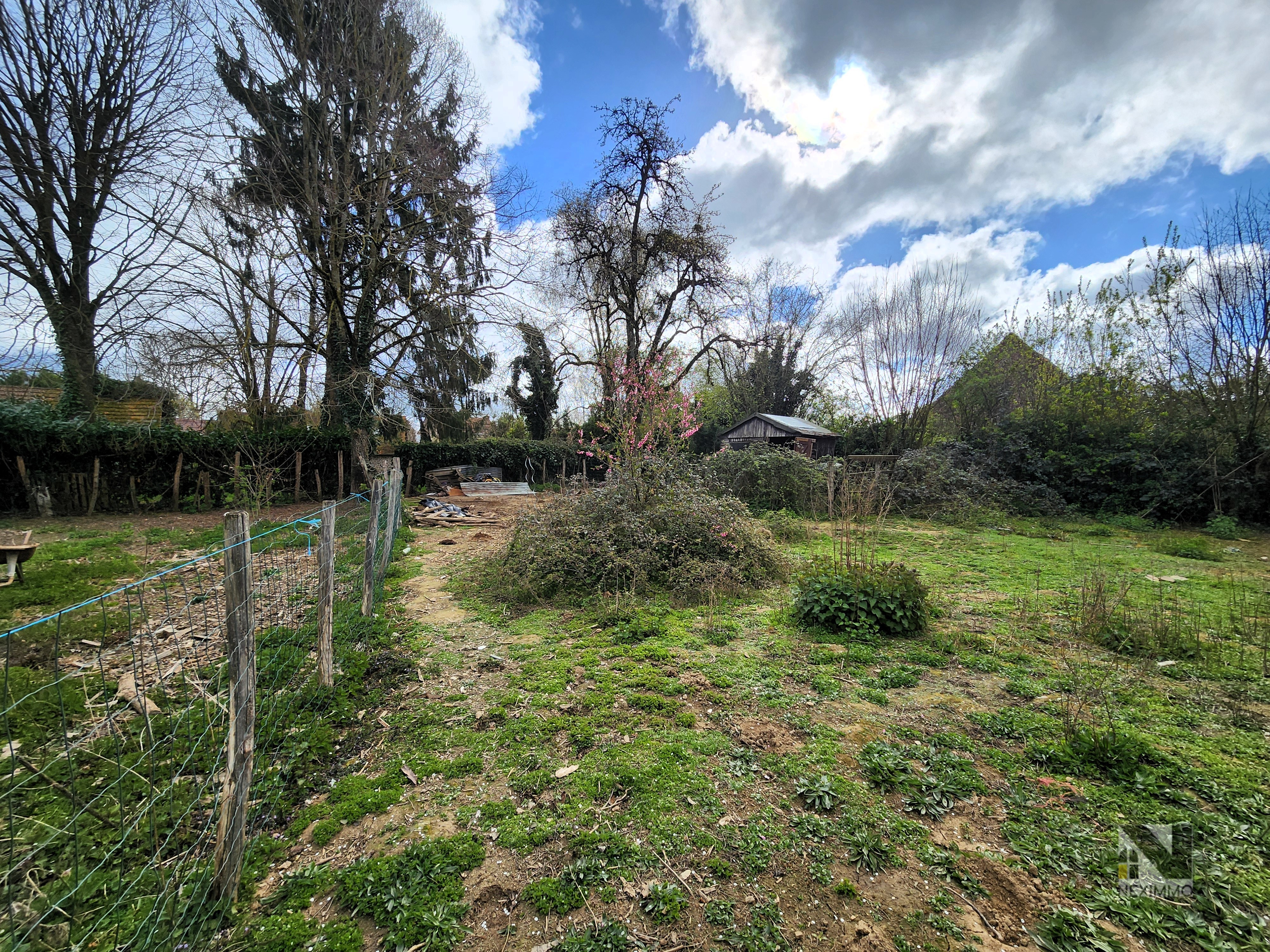Photo 7 — Neximmo