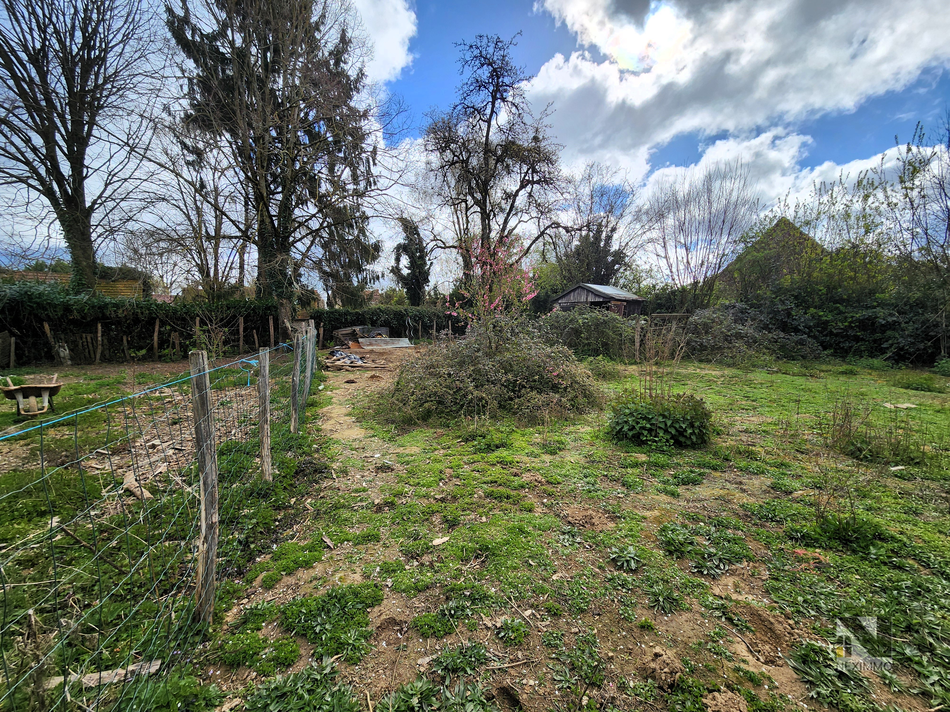 Photo 6 — Neximmo