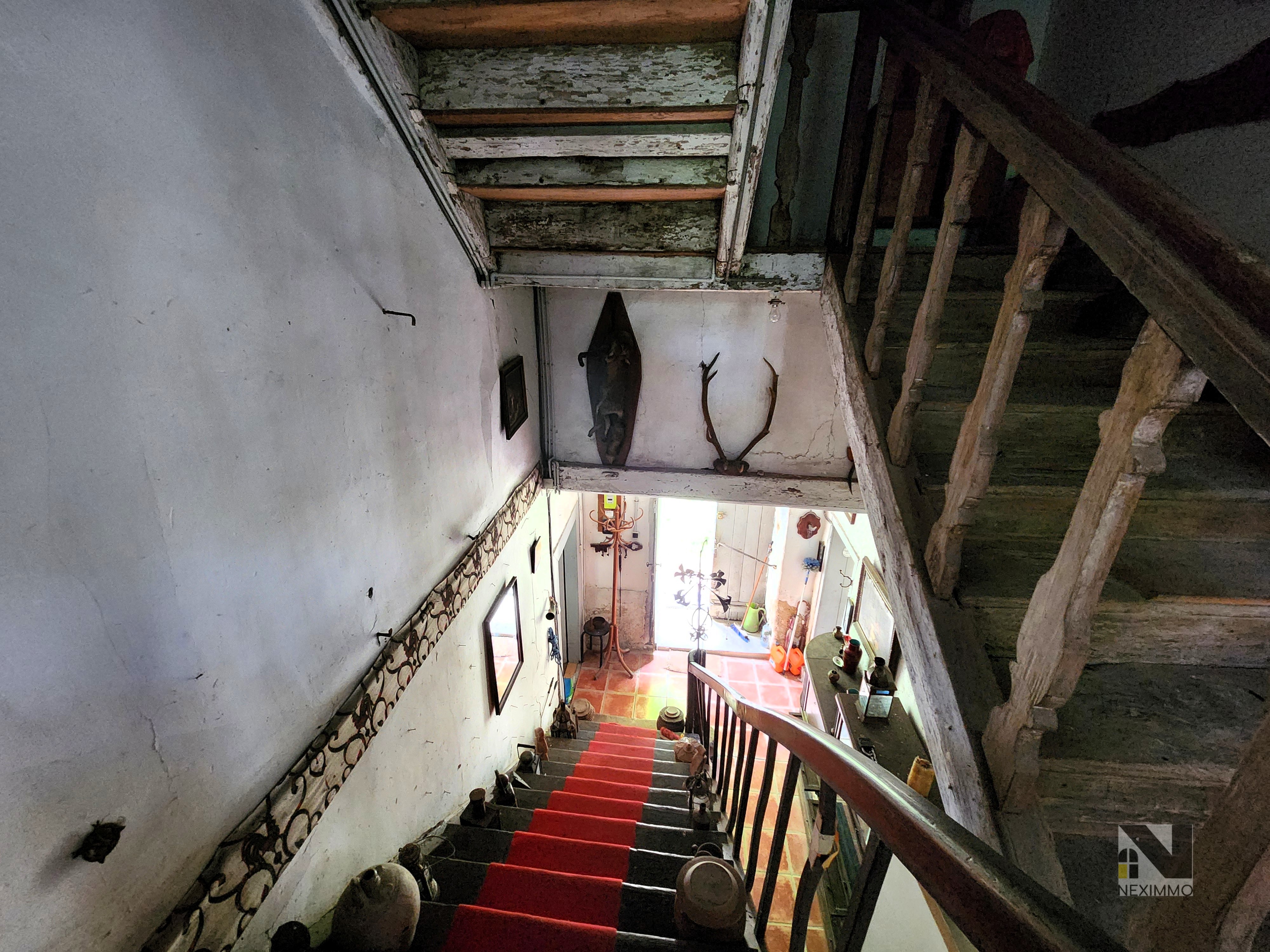 Photo 13 — Neximmo