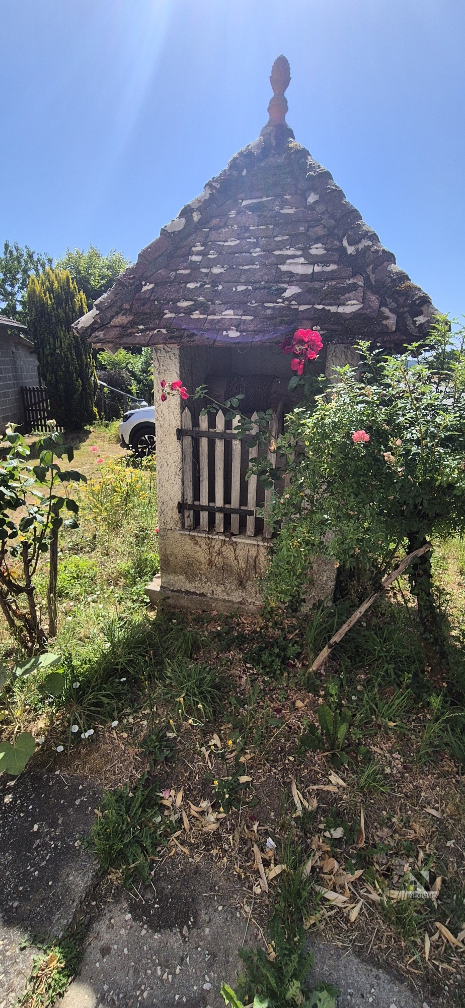 Photo 3 — Neximmo
