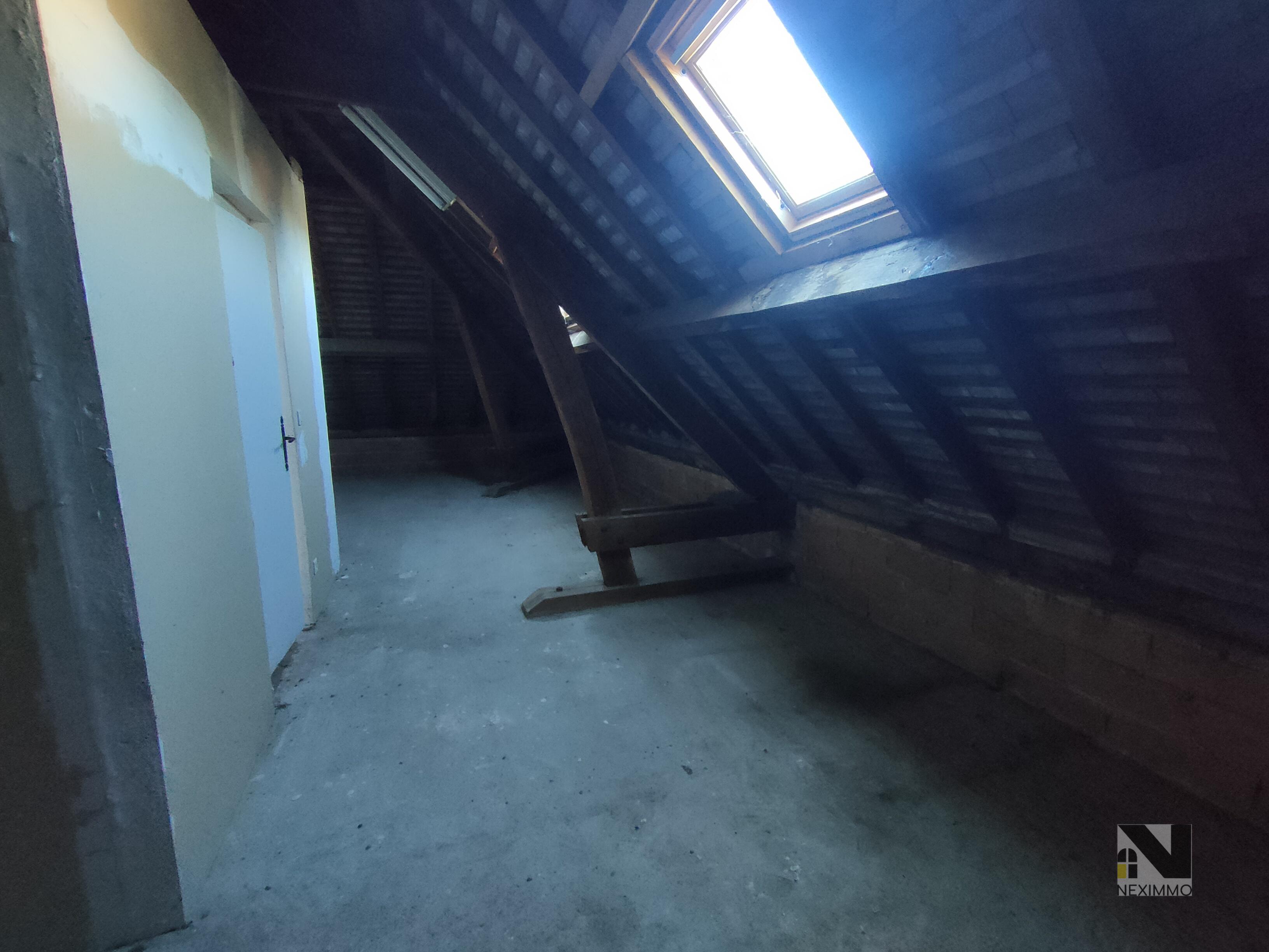 Photo 19 — Neximmo