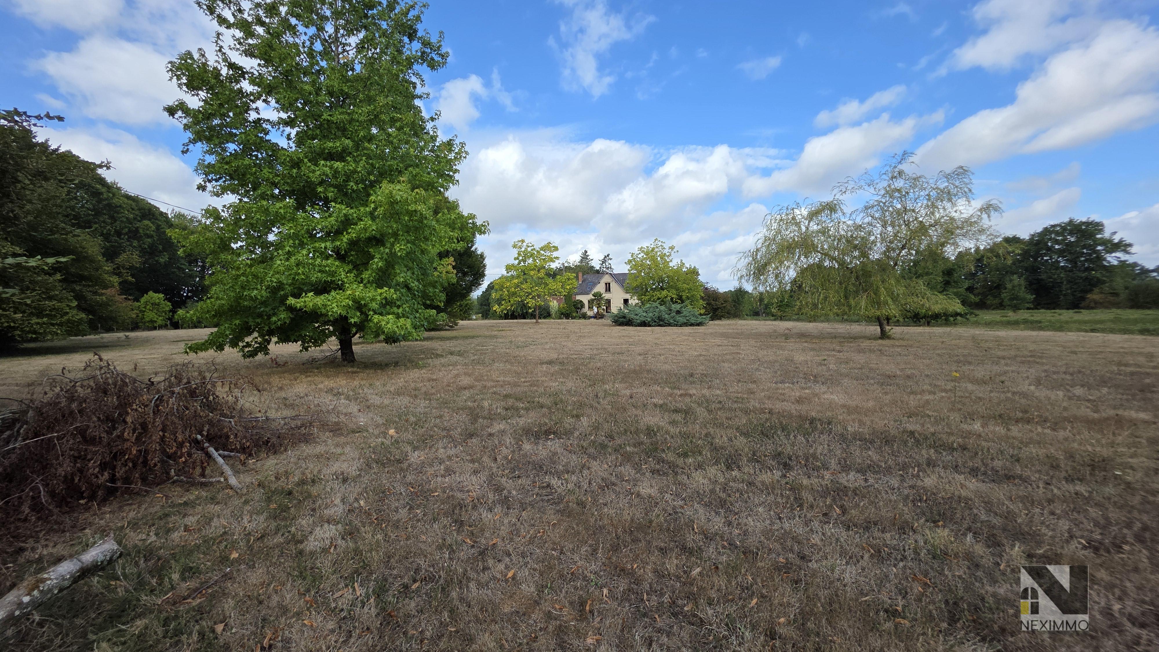 Photo 13 — Neximmo