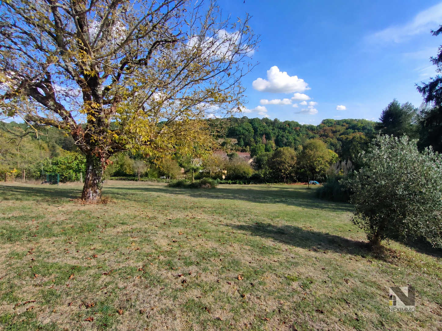 Photo 18 — Neximmo