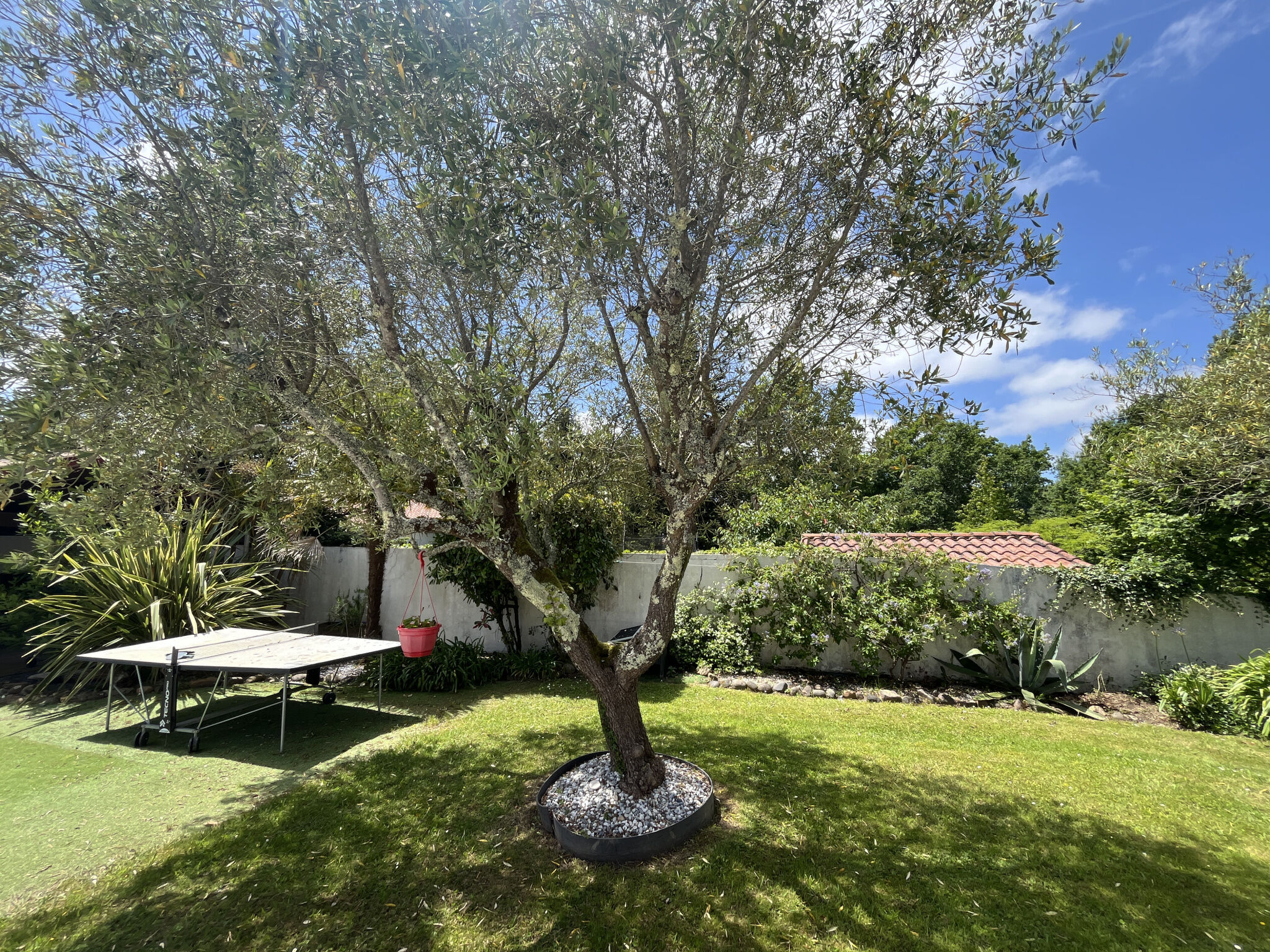 Photo 20 — Chancerelle Immobilier