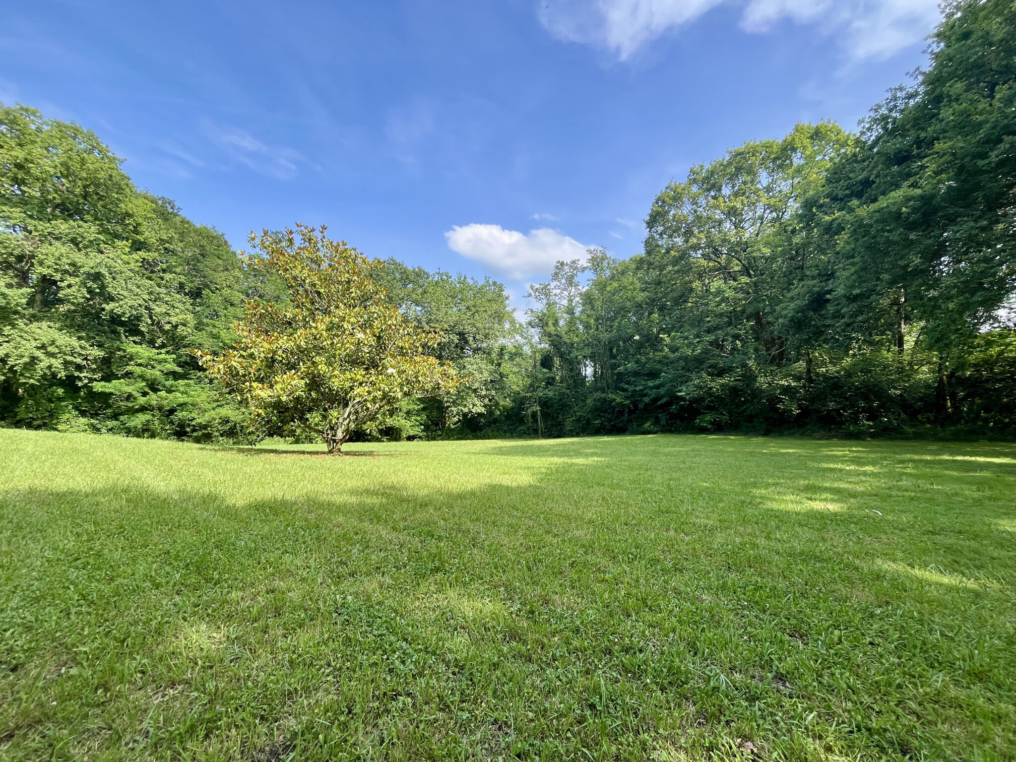 Photo 16 — Chancerelle Immobilier