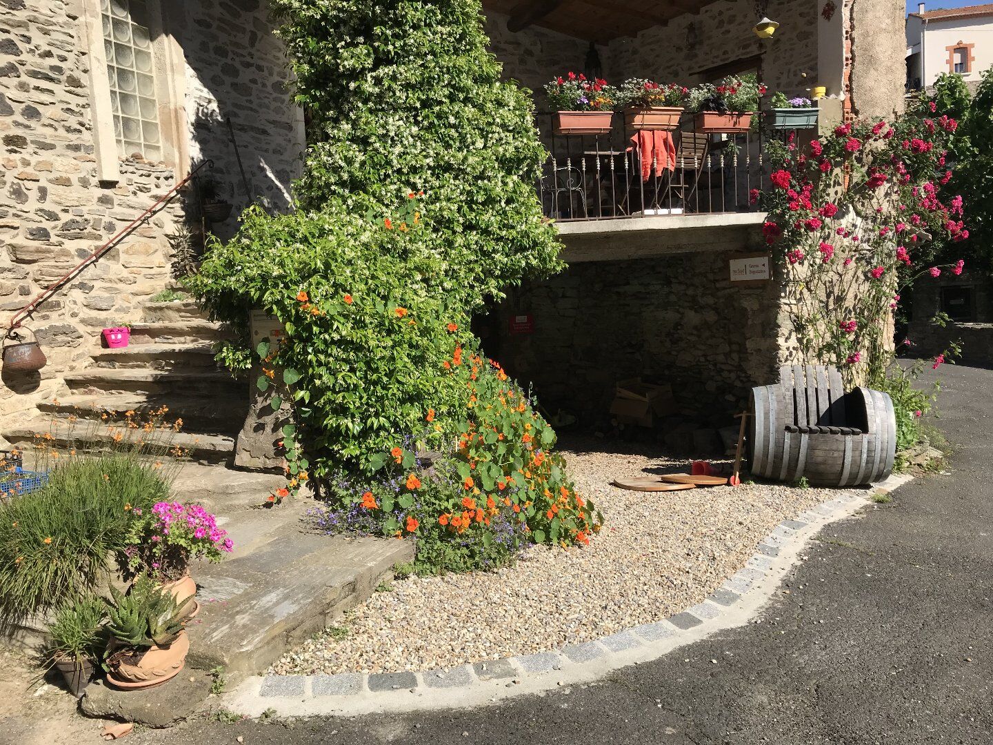 Photo 8 — Eugène de Graaf Conseil